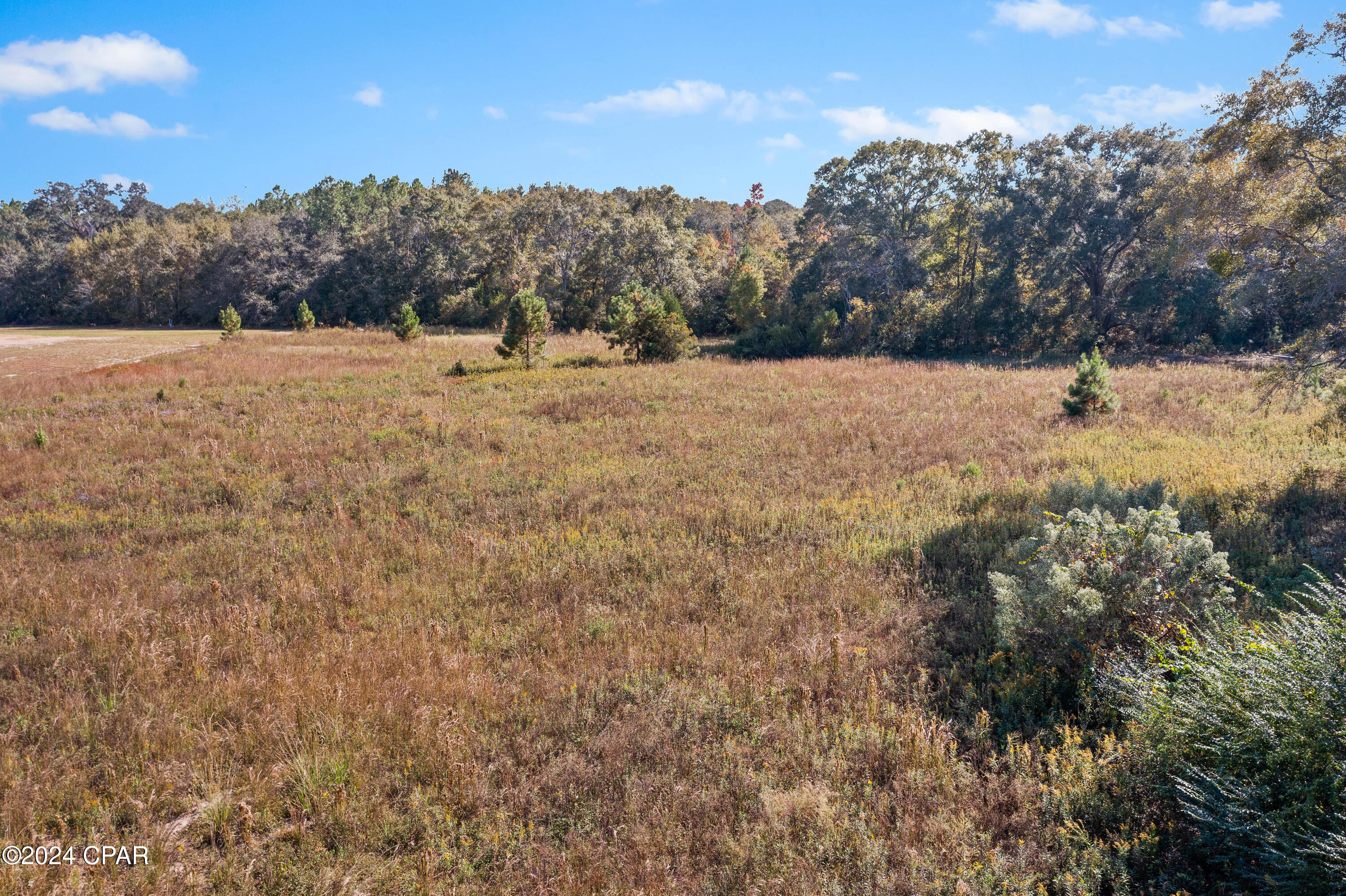 Lot 4 Creek Road, Bonifay, Florida image 4