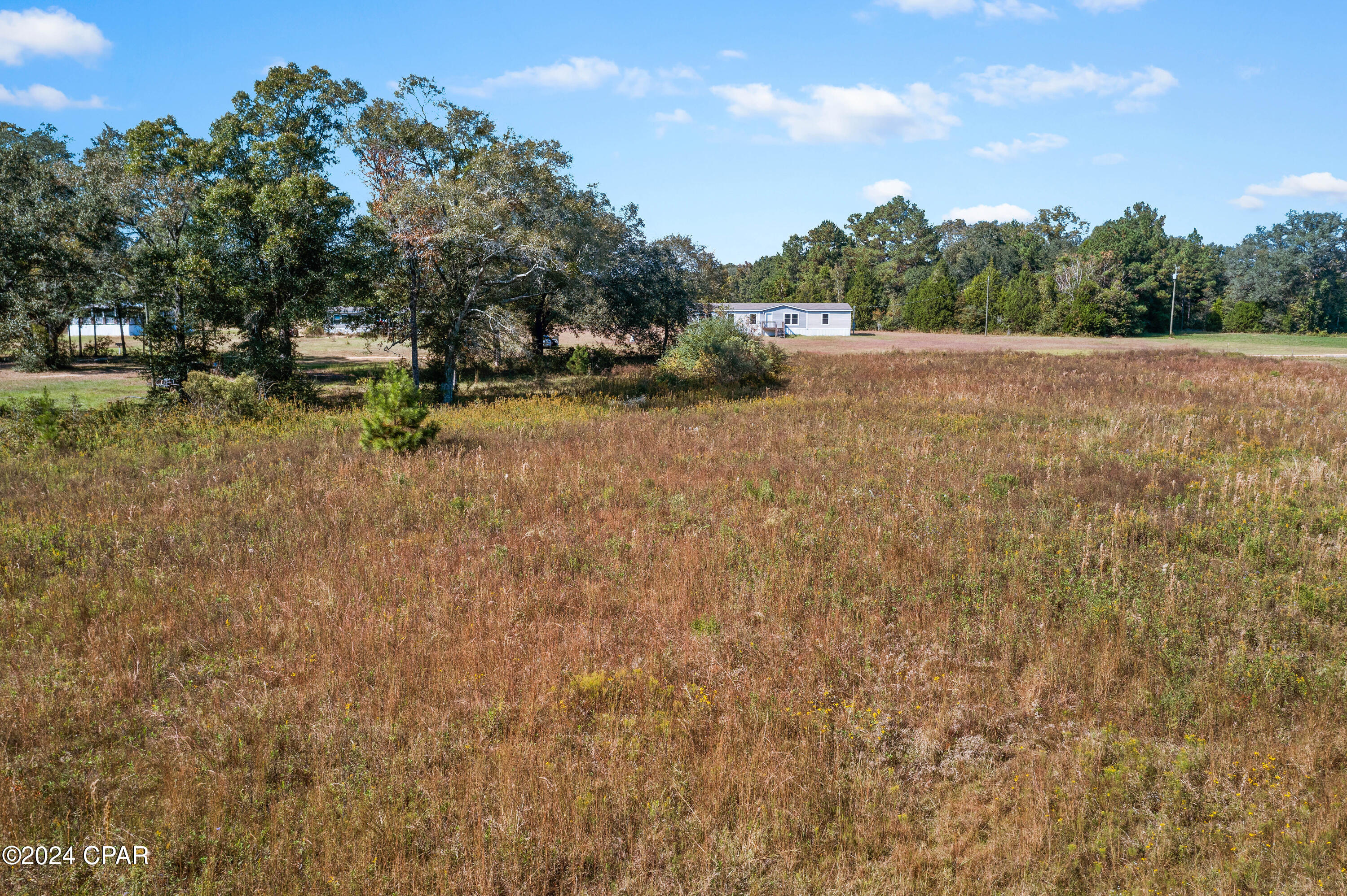 Lot 4 Creek Road, Bonifay, Florida image 6