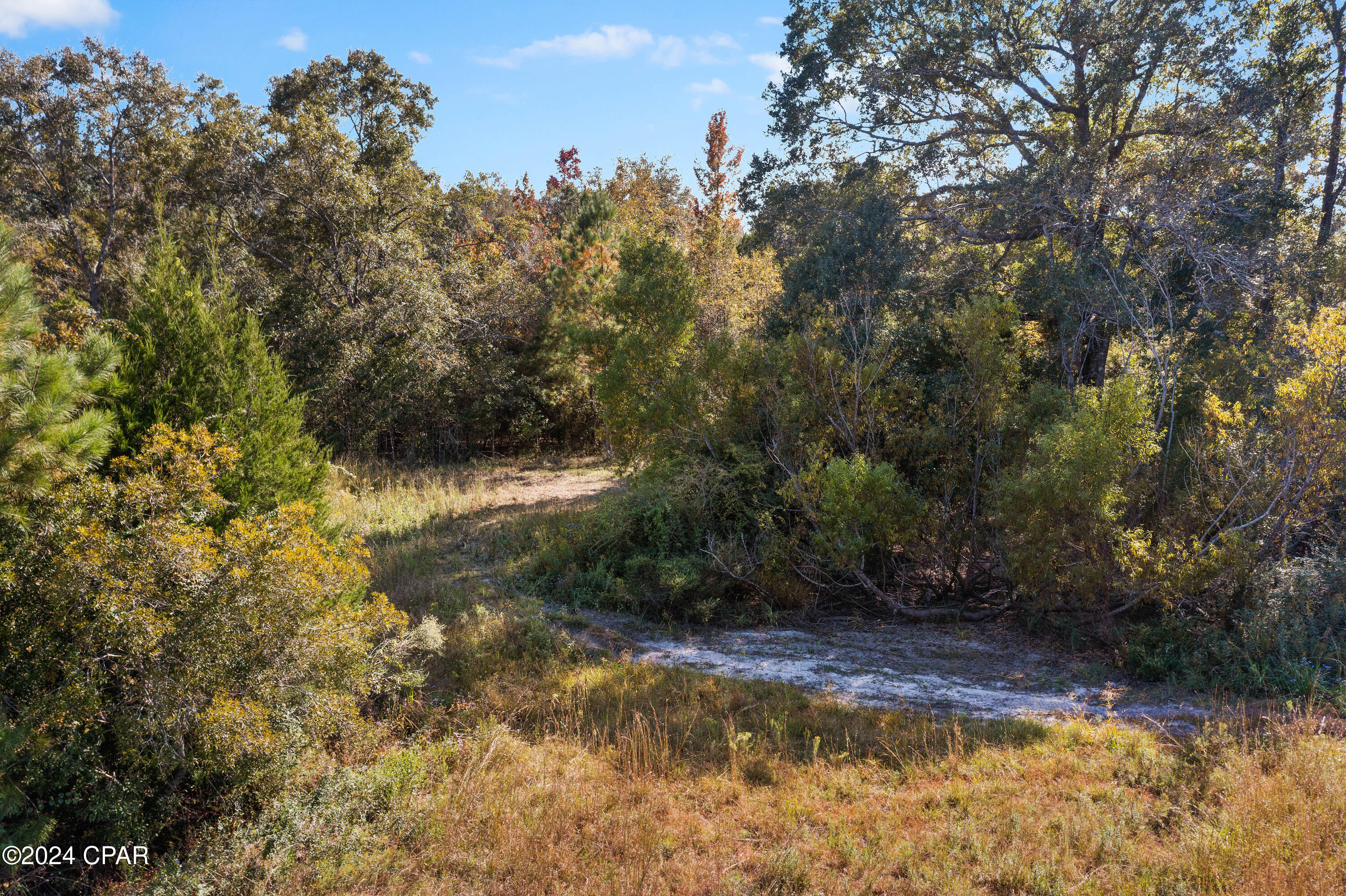 Lot 4 Creek Road, Bonifay, Florida image 7