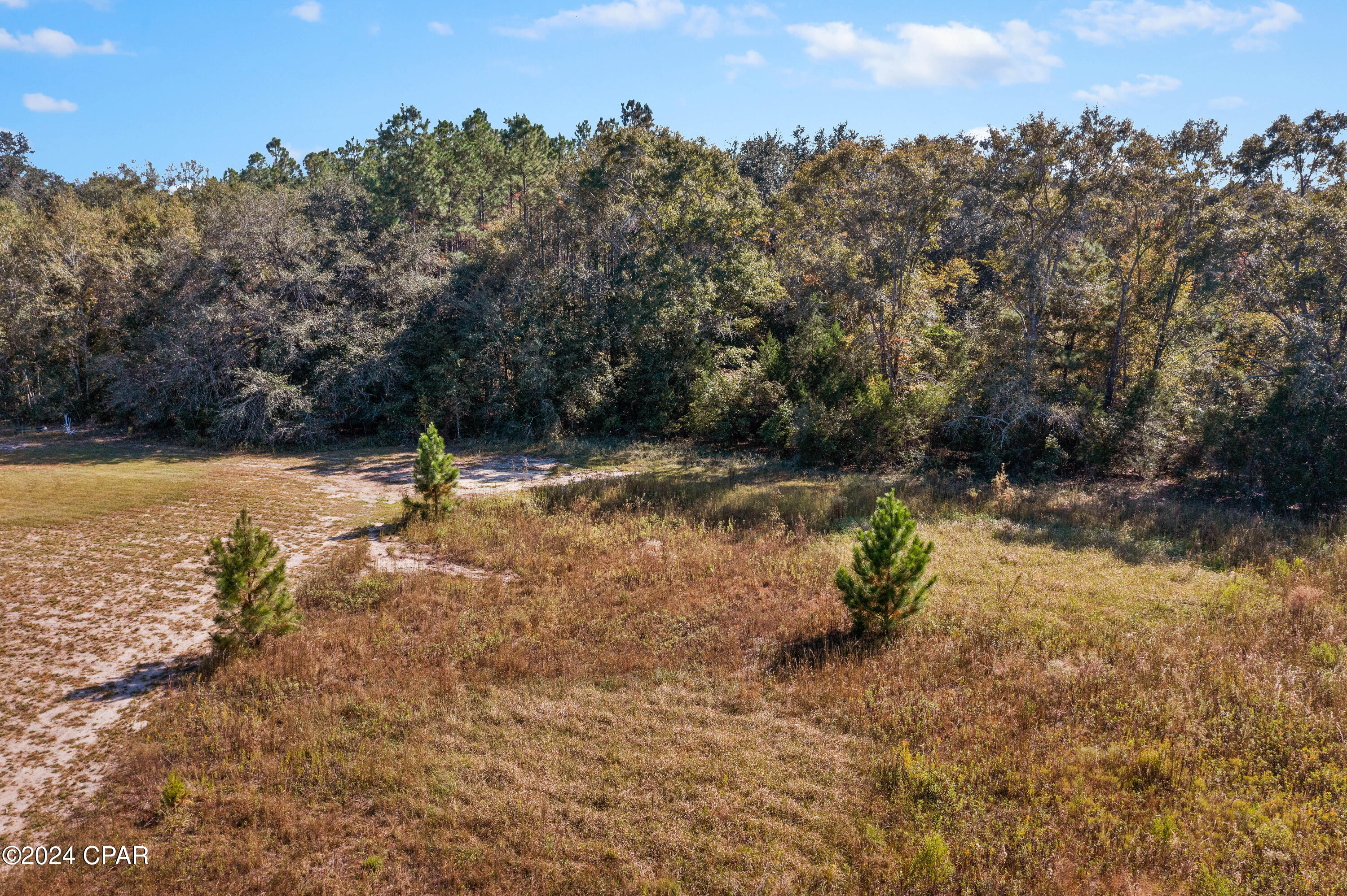 Lot 5 Creek Road, Bonifay, Florida image 4