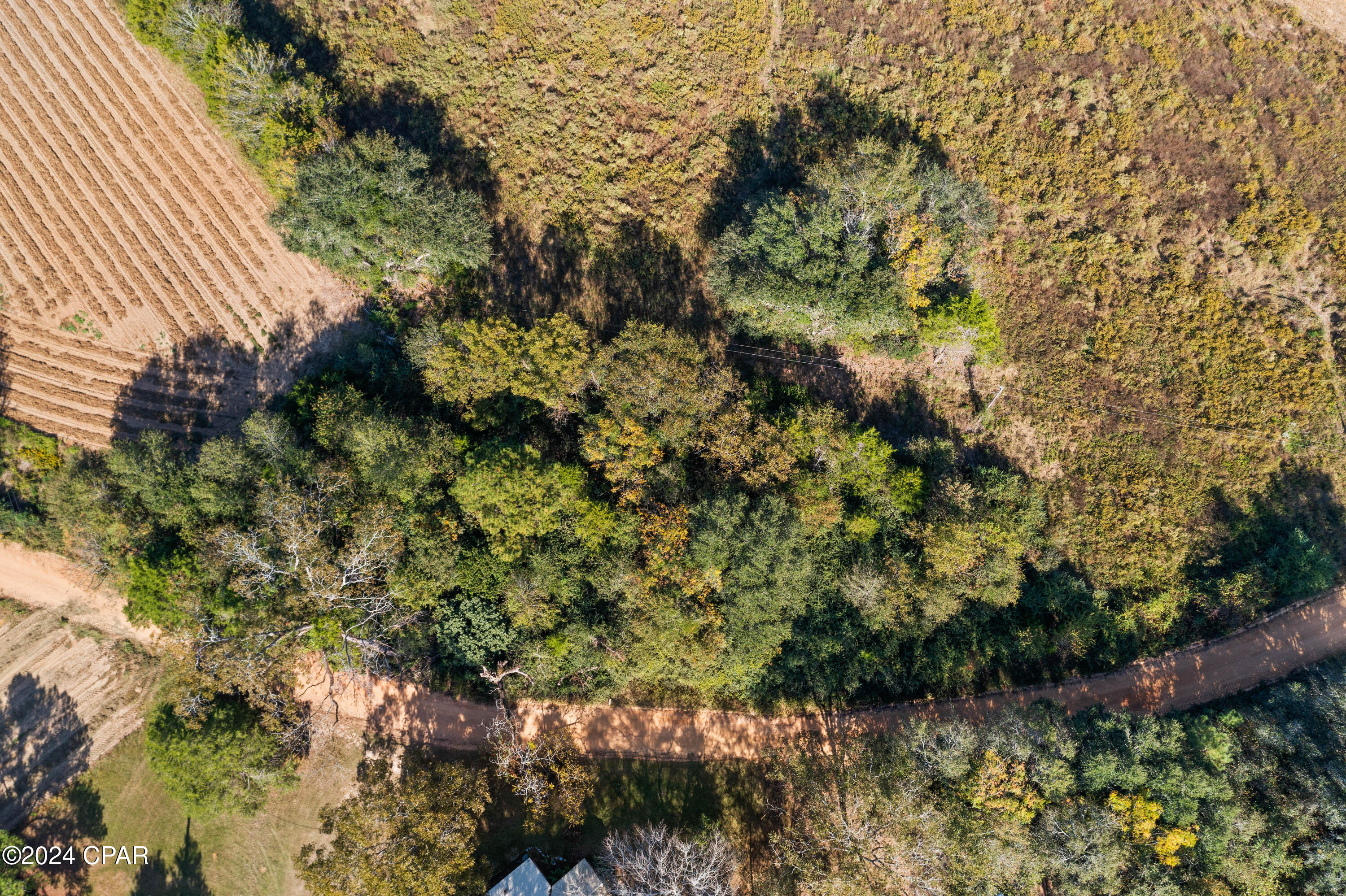 XXX Leamon Smith Road, Bonifay, Florida image 9