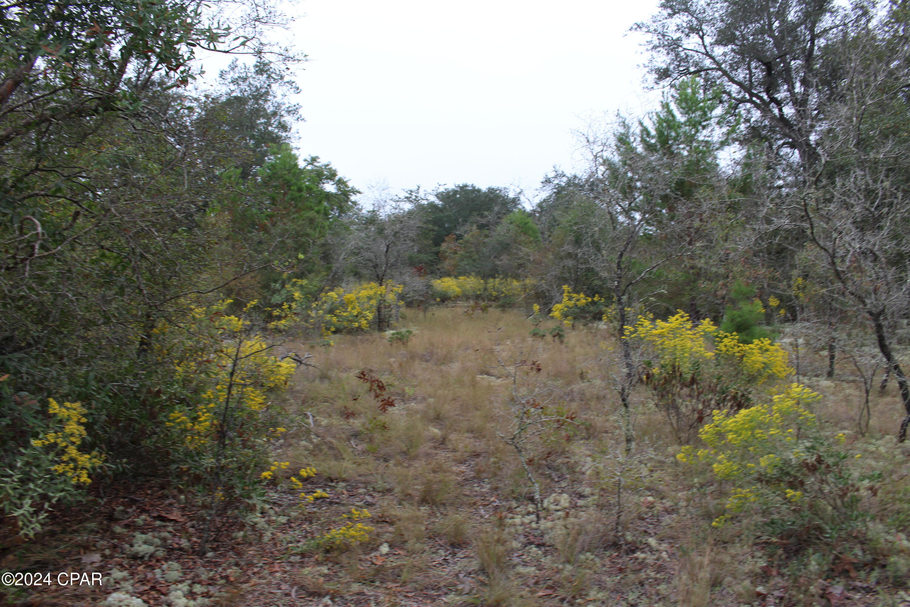 Image 12 For 0 Silver Lakes Road