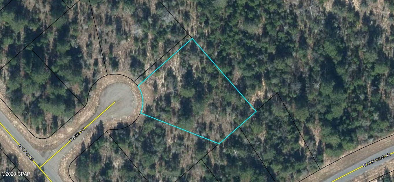 Listing Details for 00 Tassel Court, Chipley, FL 32428