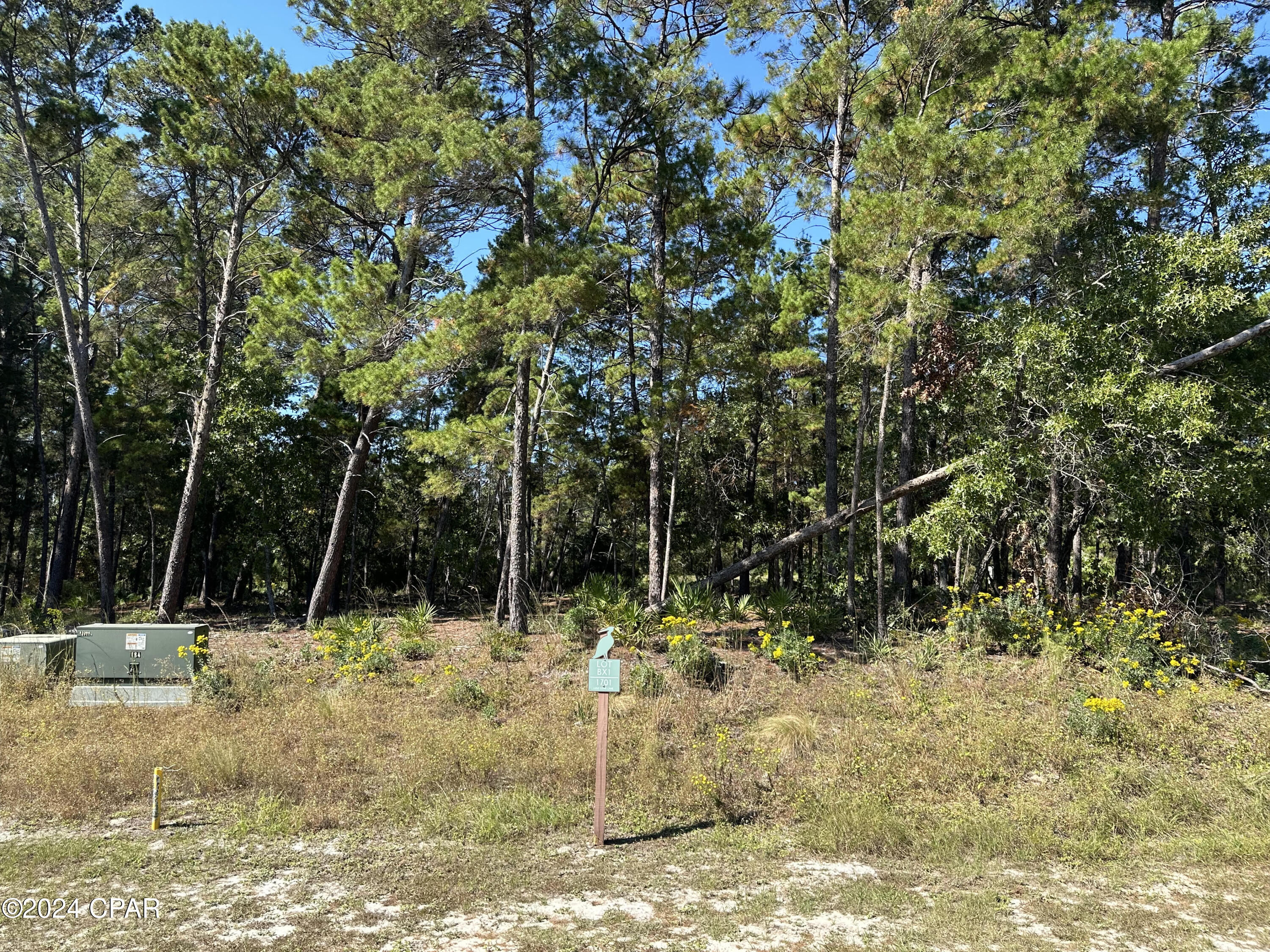 1701 Lost Cove Lane, Panama City Beach, Florida image 11