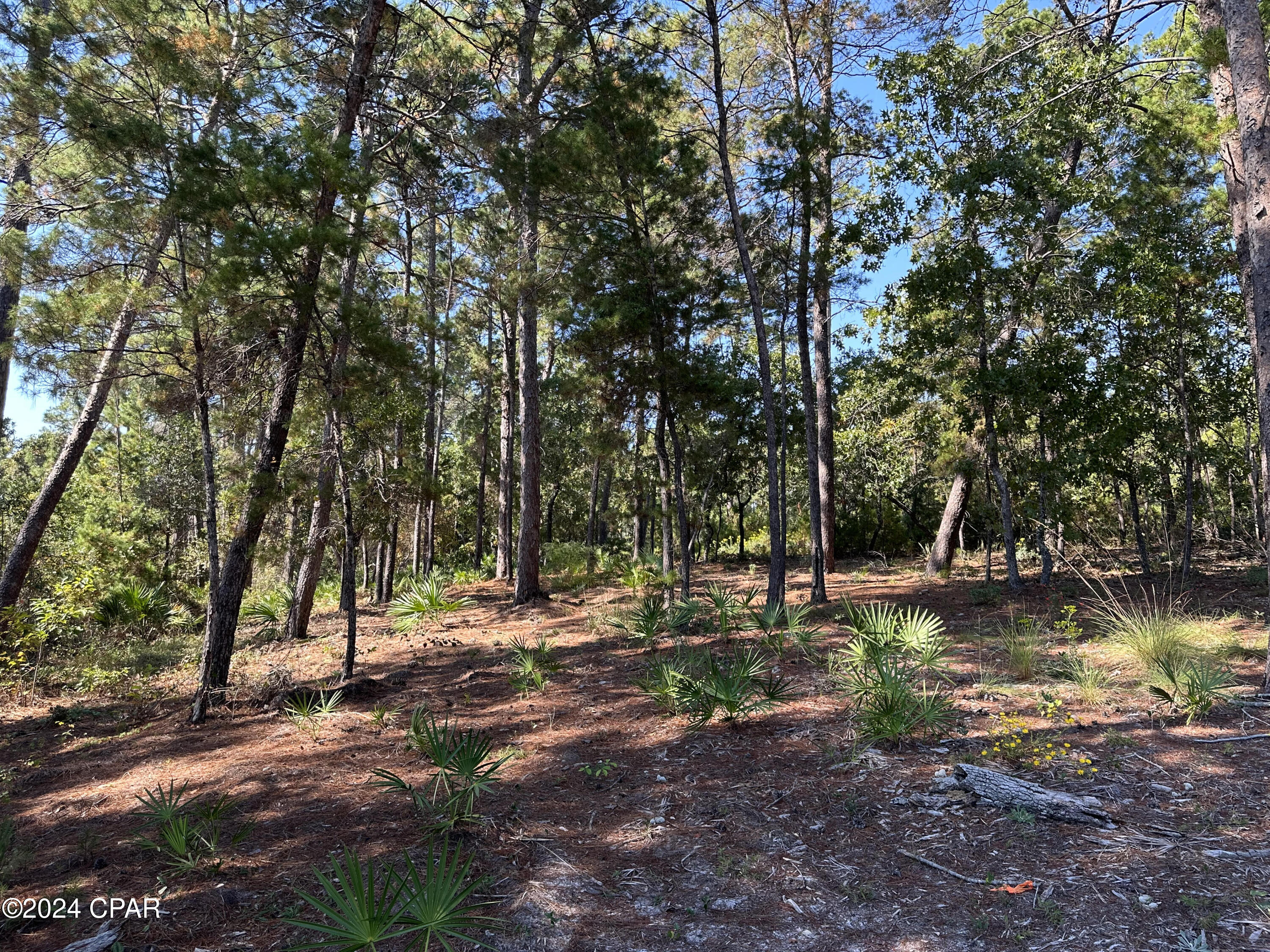1701 Lost Cove Lane, Panama City Beach, Florida image 14
