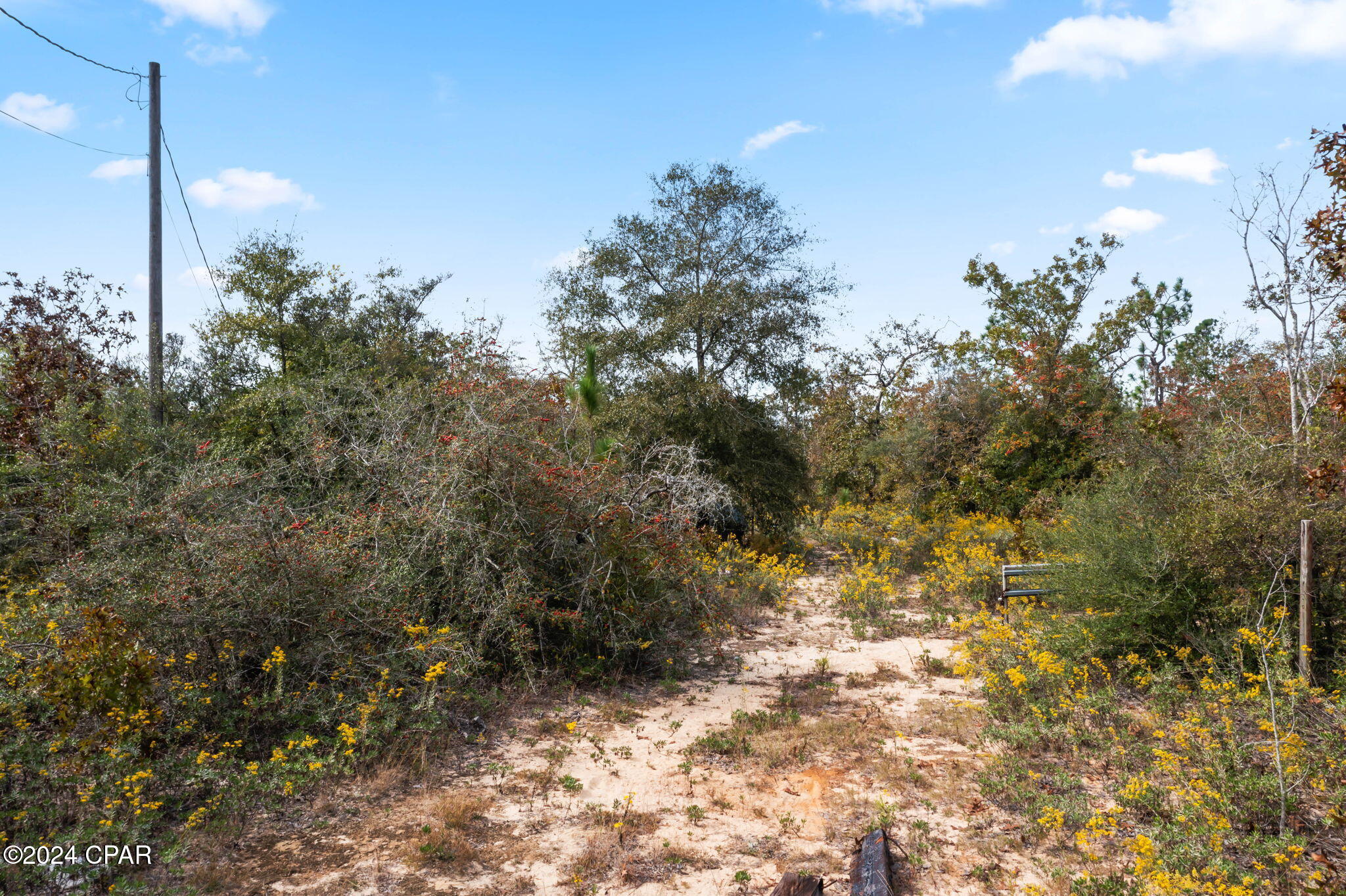 Image 3 For 000 Powerline Road