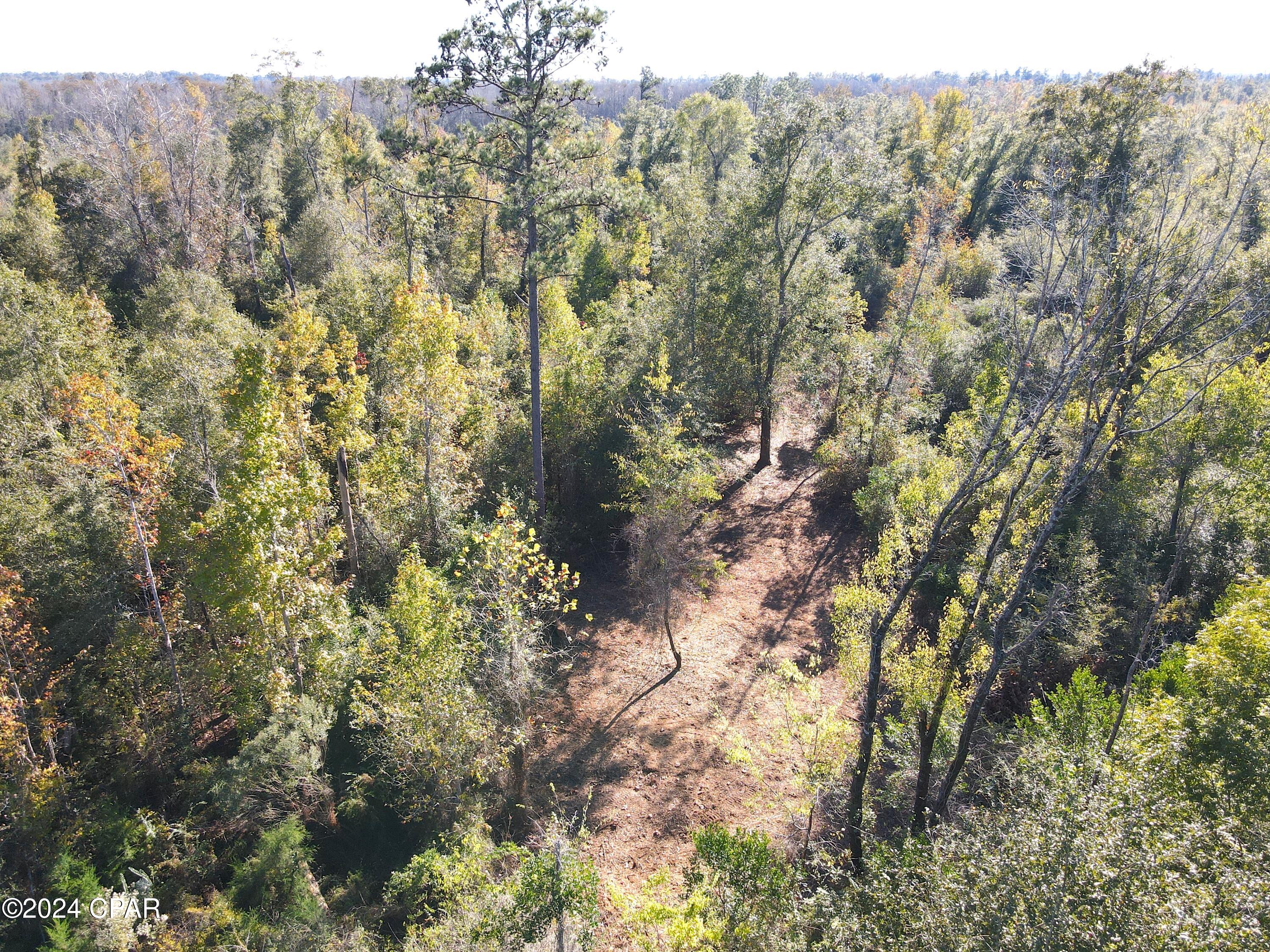 Image 11 For 00 Brushey Pond Road