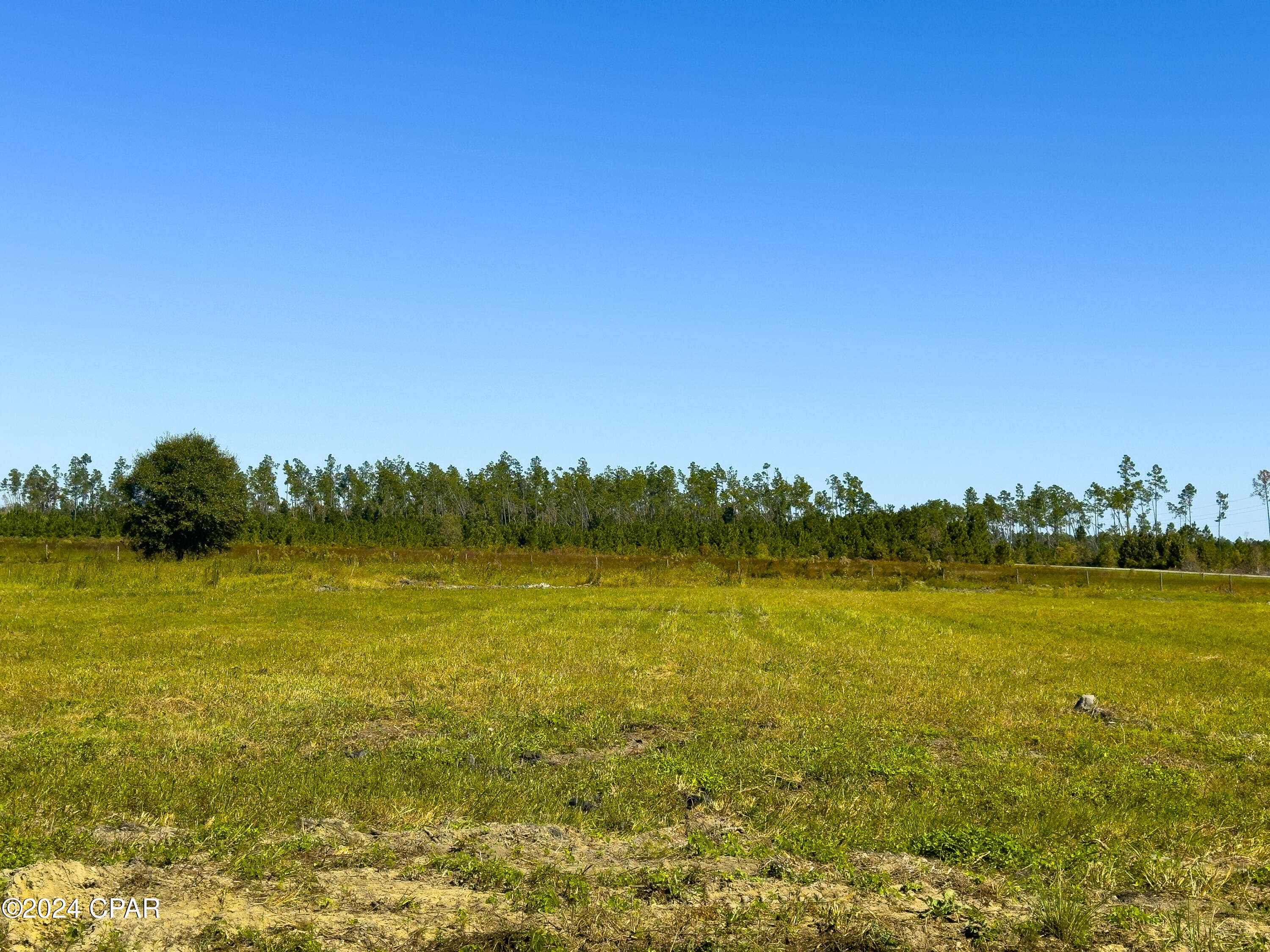 Lot 16 Harmony Street, Wewahitchka, Florida image 2