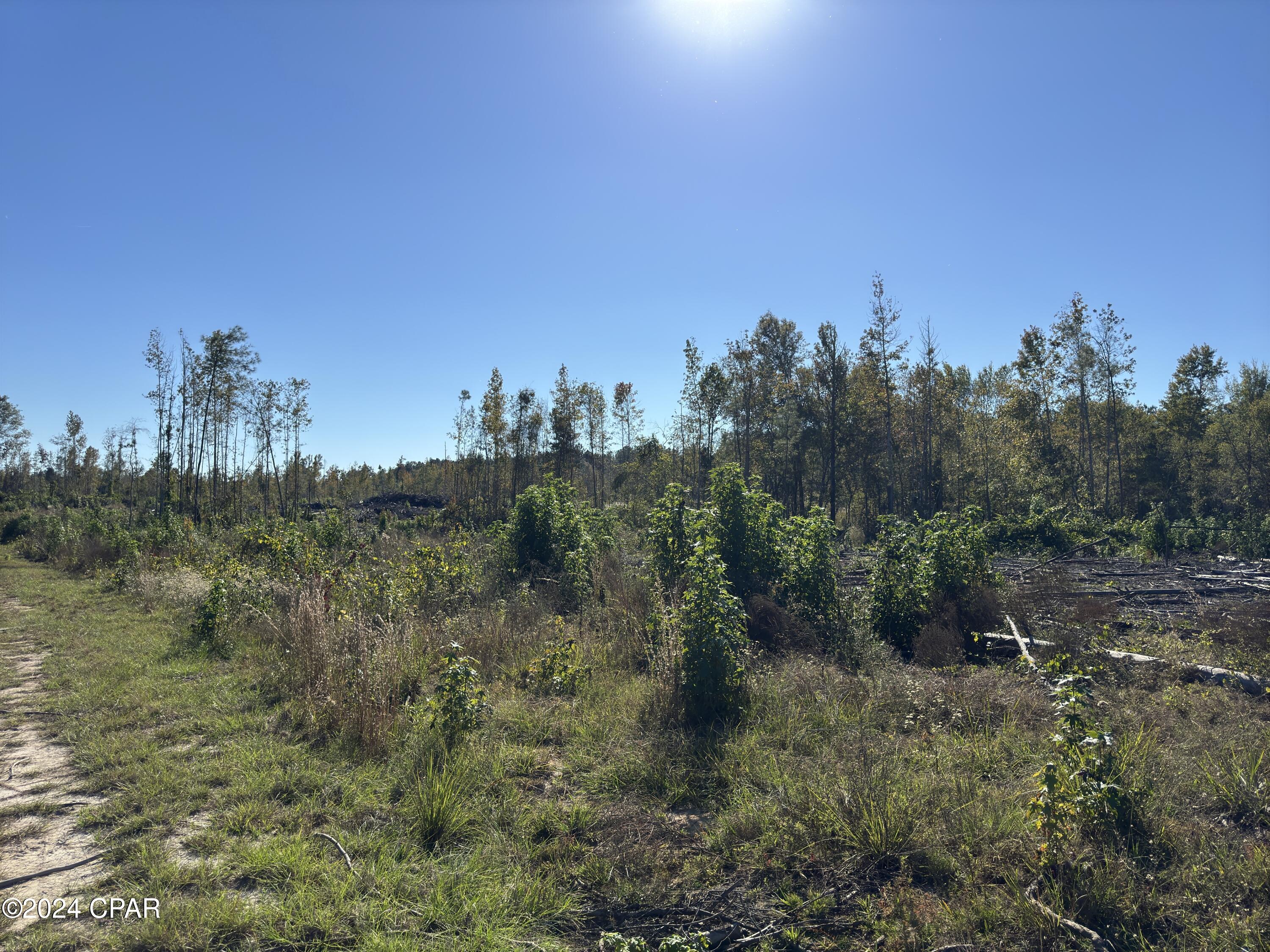 Photo of 00 Oak Grove Bascom FL 32423