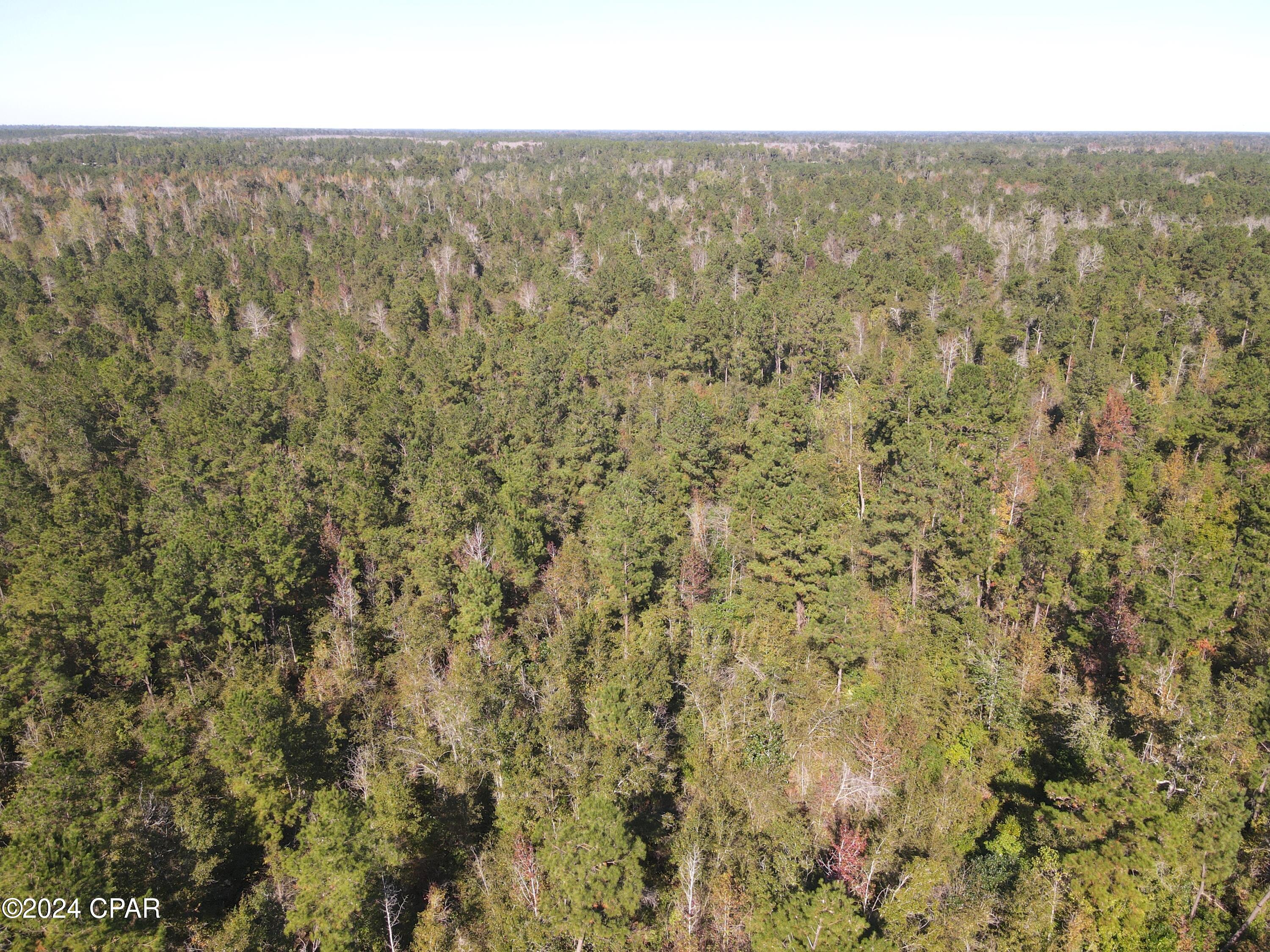 Photo of 0 Old Spanish Trail Marianna FL 32447