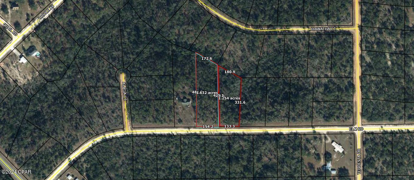 Elm Road #LOTS 41 AND 42, Marianna, Florida image 1