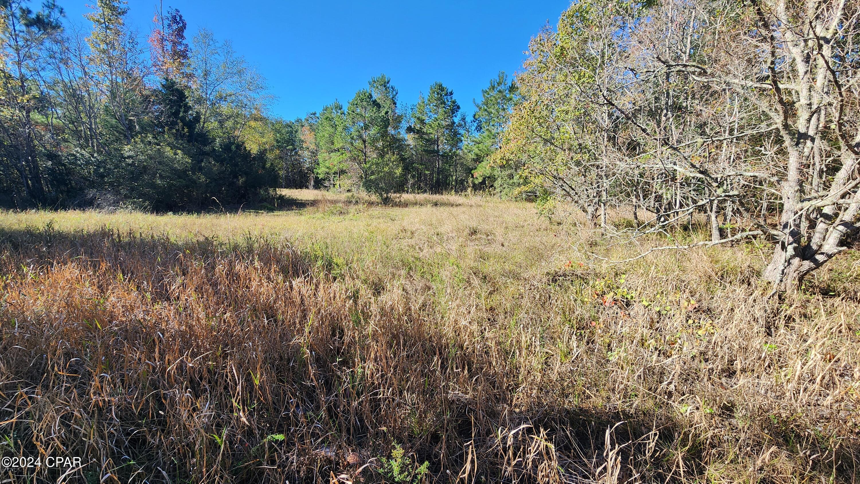 2597 Kynesville Road, Cottondale, Florida image 21