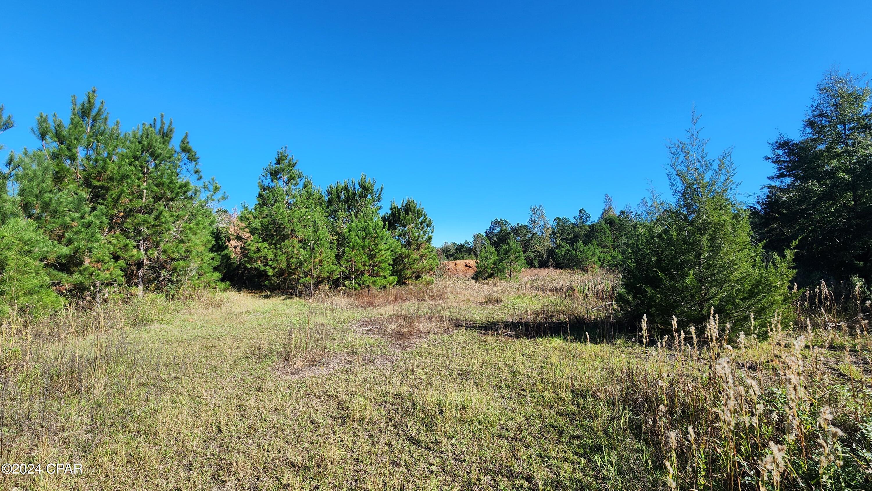 2597 Kynesville Road, Cottondale, Florida image 22
