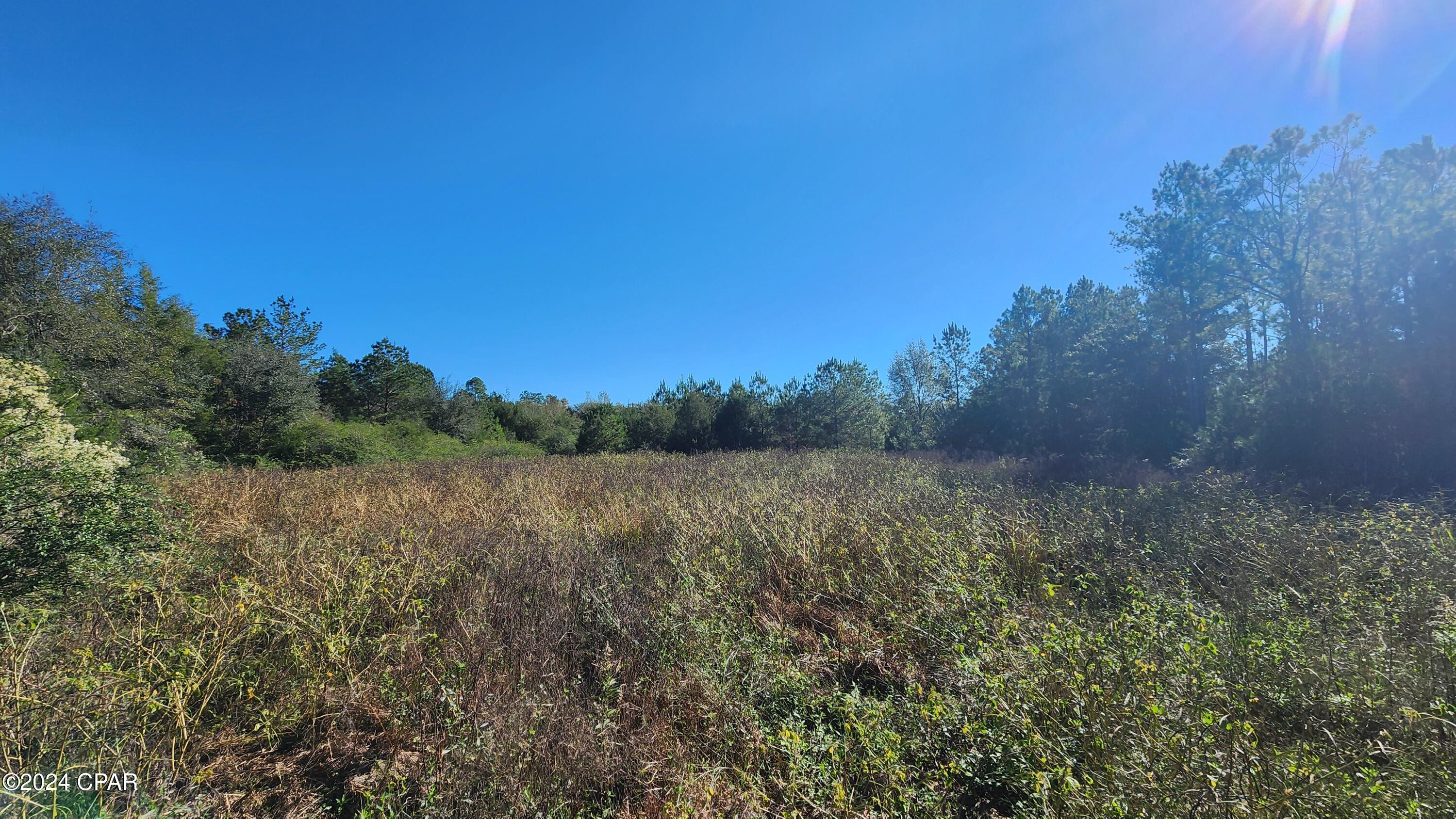 2597 Kynesville Road, Cottondale, Florida image 24