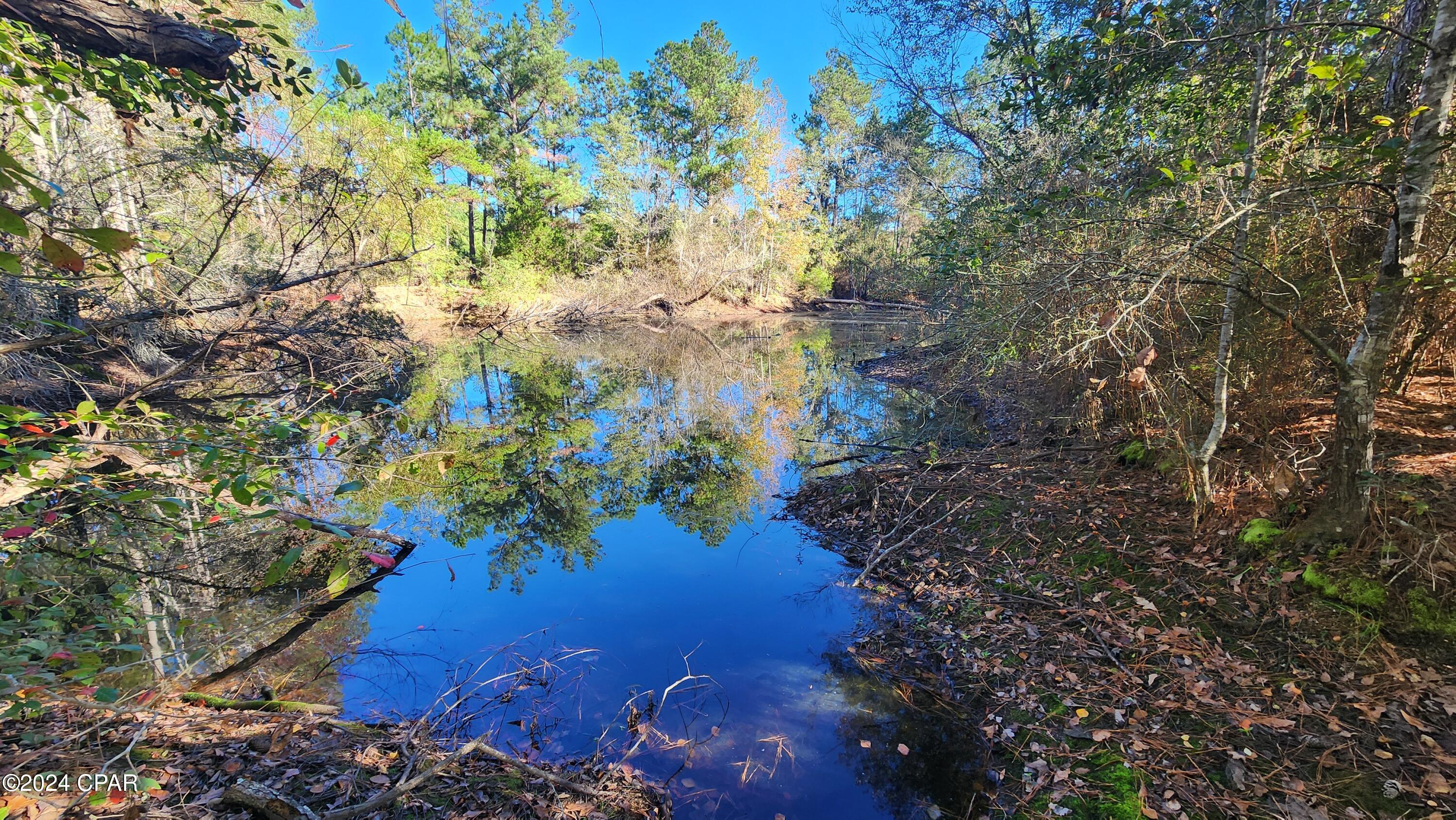 2597 Kynesville Road, Cottondale, Florida image 27