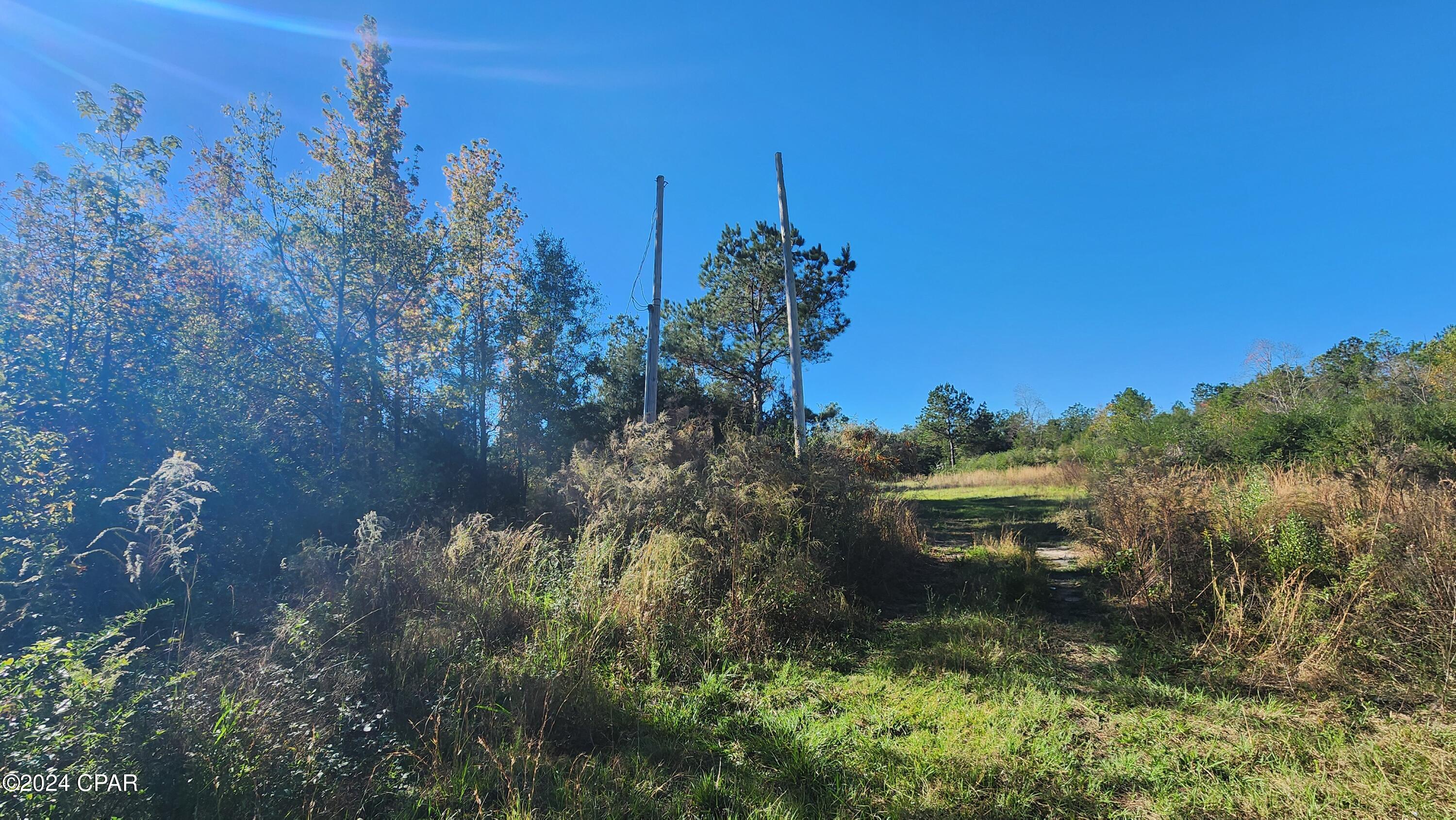2597 Kynesville Road, Cottondale, Florida image 28