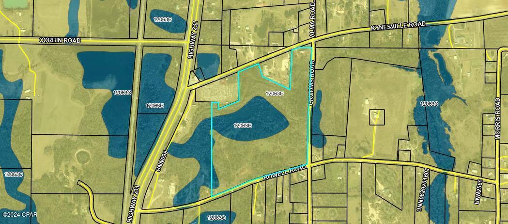 2597 Kynesville Road, Cottondale, Florida image 3