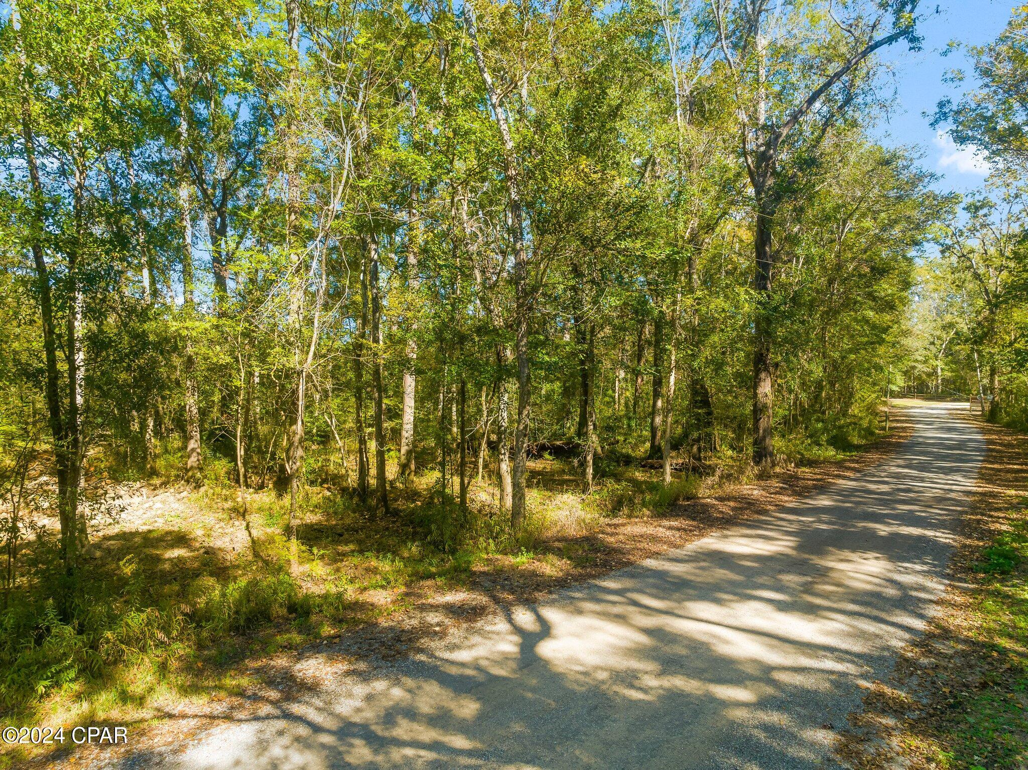 Image 8 For 000 River Road