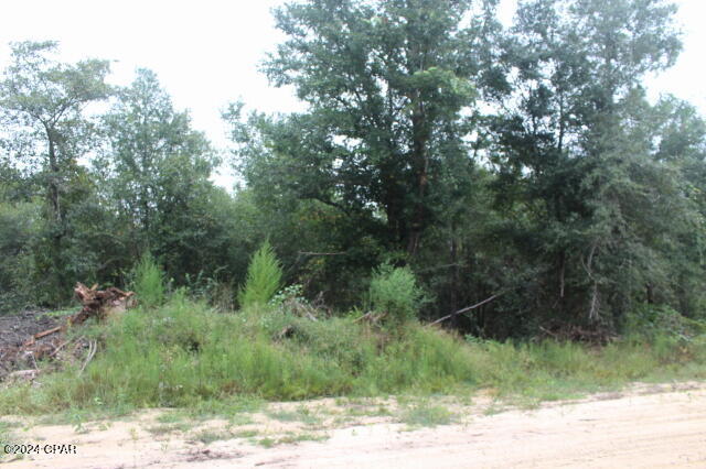 Photo of 0 Sally Jean Defuniak Springs FL 32433