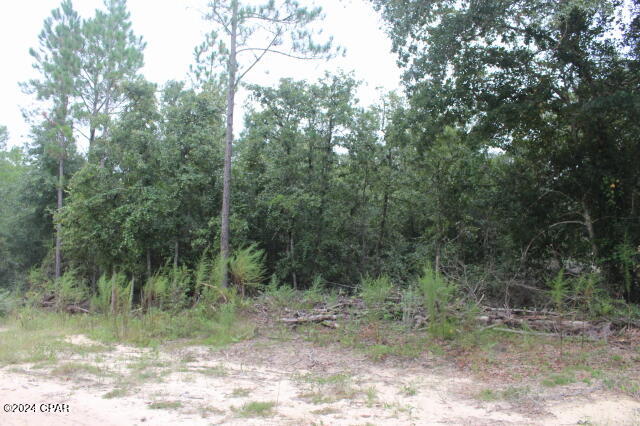 Photo of 0 Sally Jean Defuniak Springs FL 32433