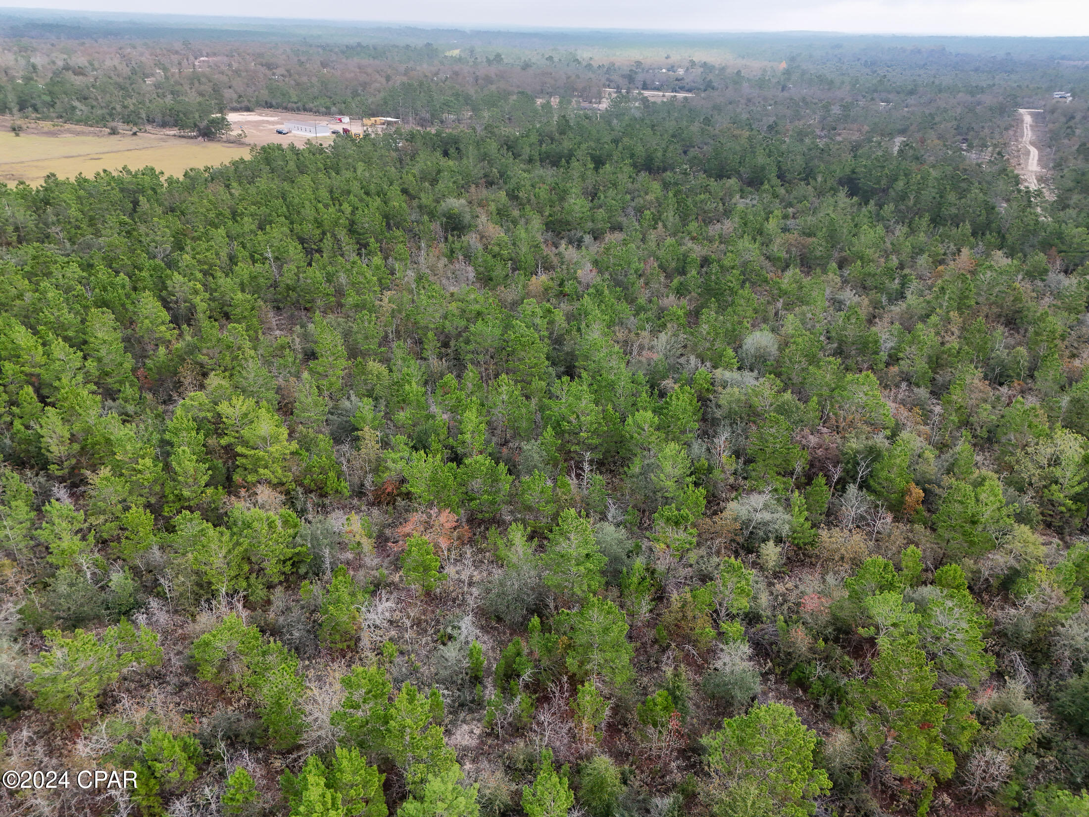 Image 15 For 22985 Lamont Road