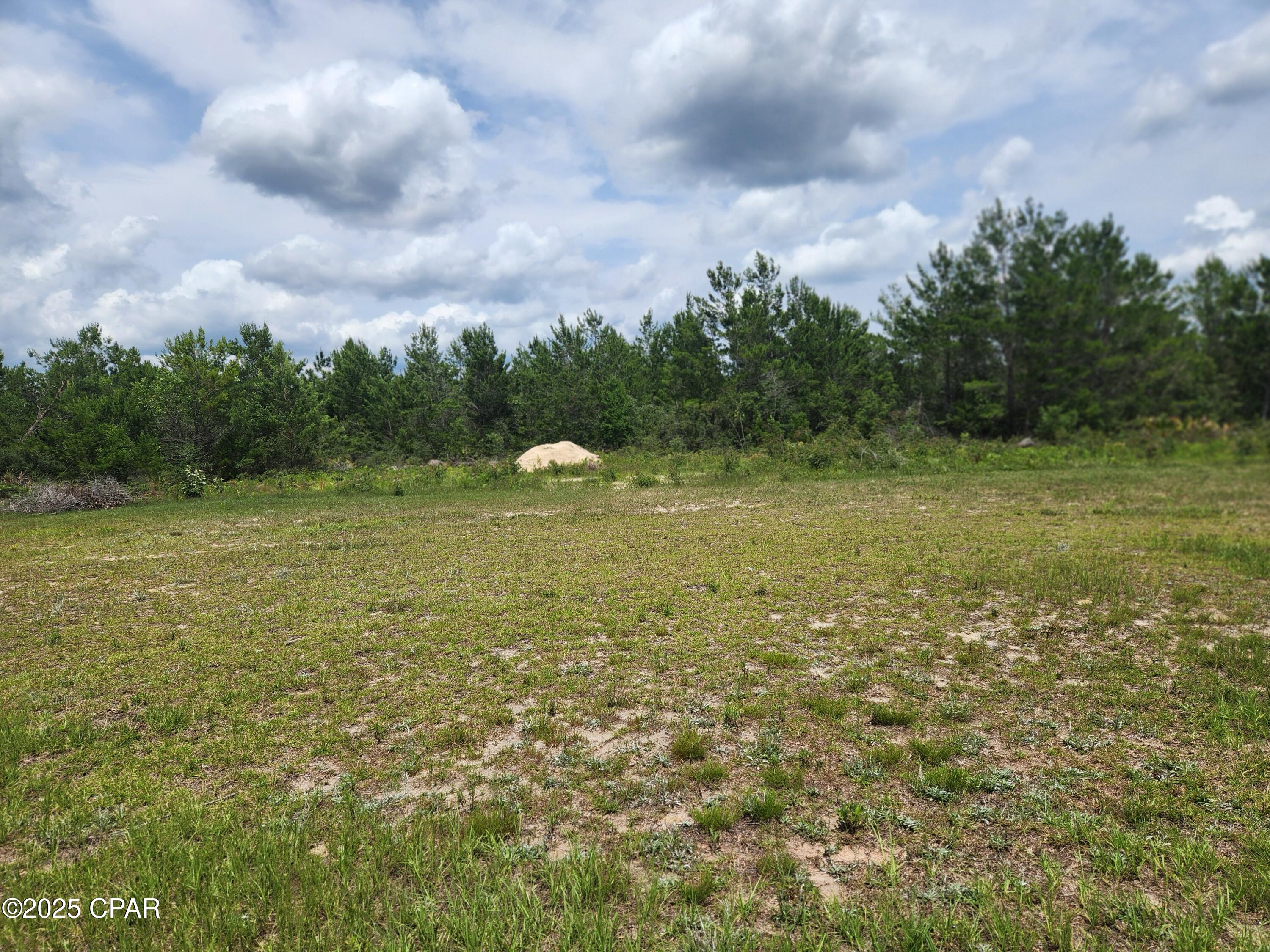 22985 NW Lamont Road, Fountain, Florida image 27
