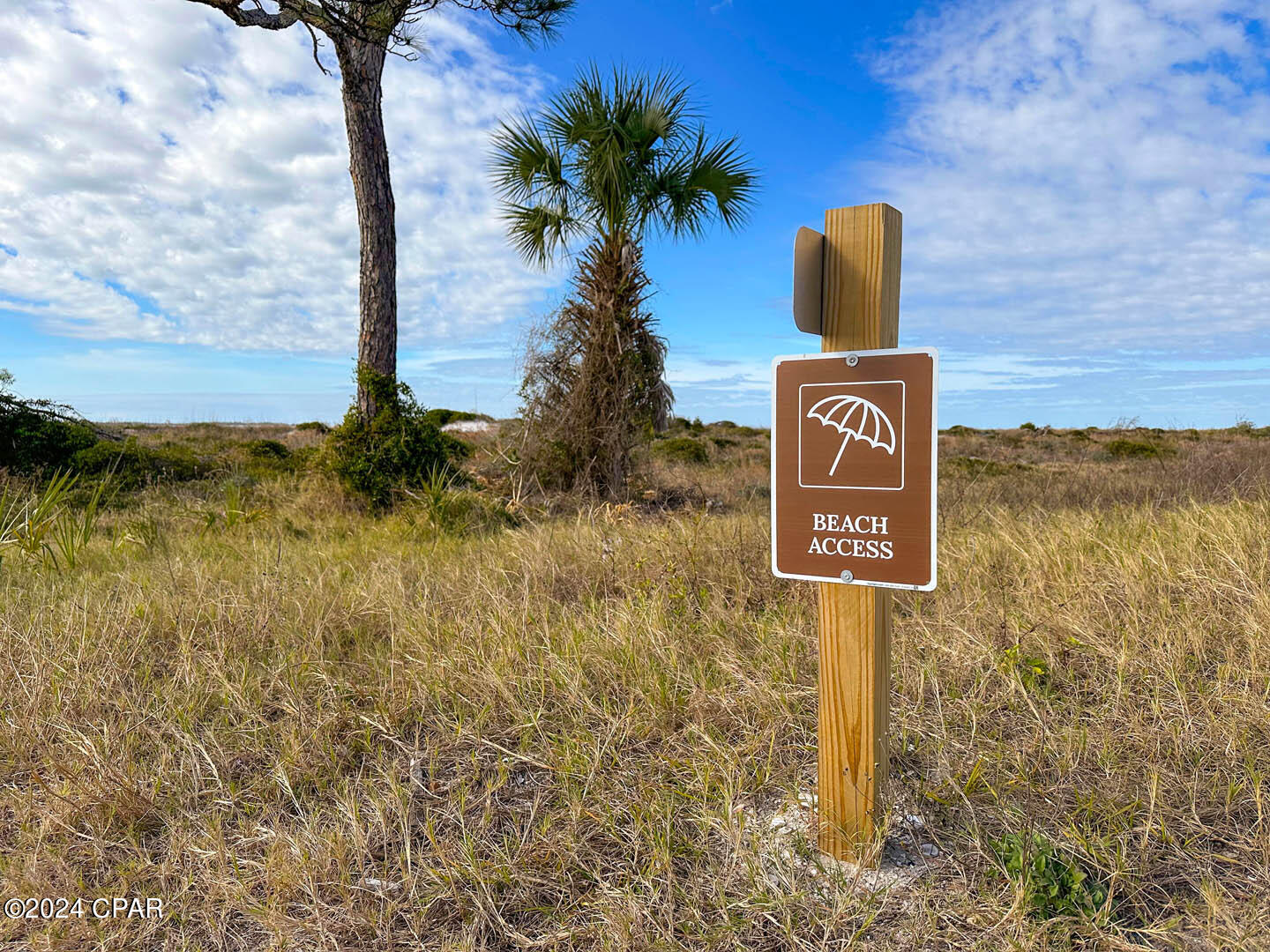 128 Needle Rush Drive, Port St. Joe, Florida image 32