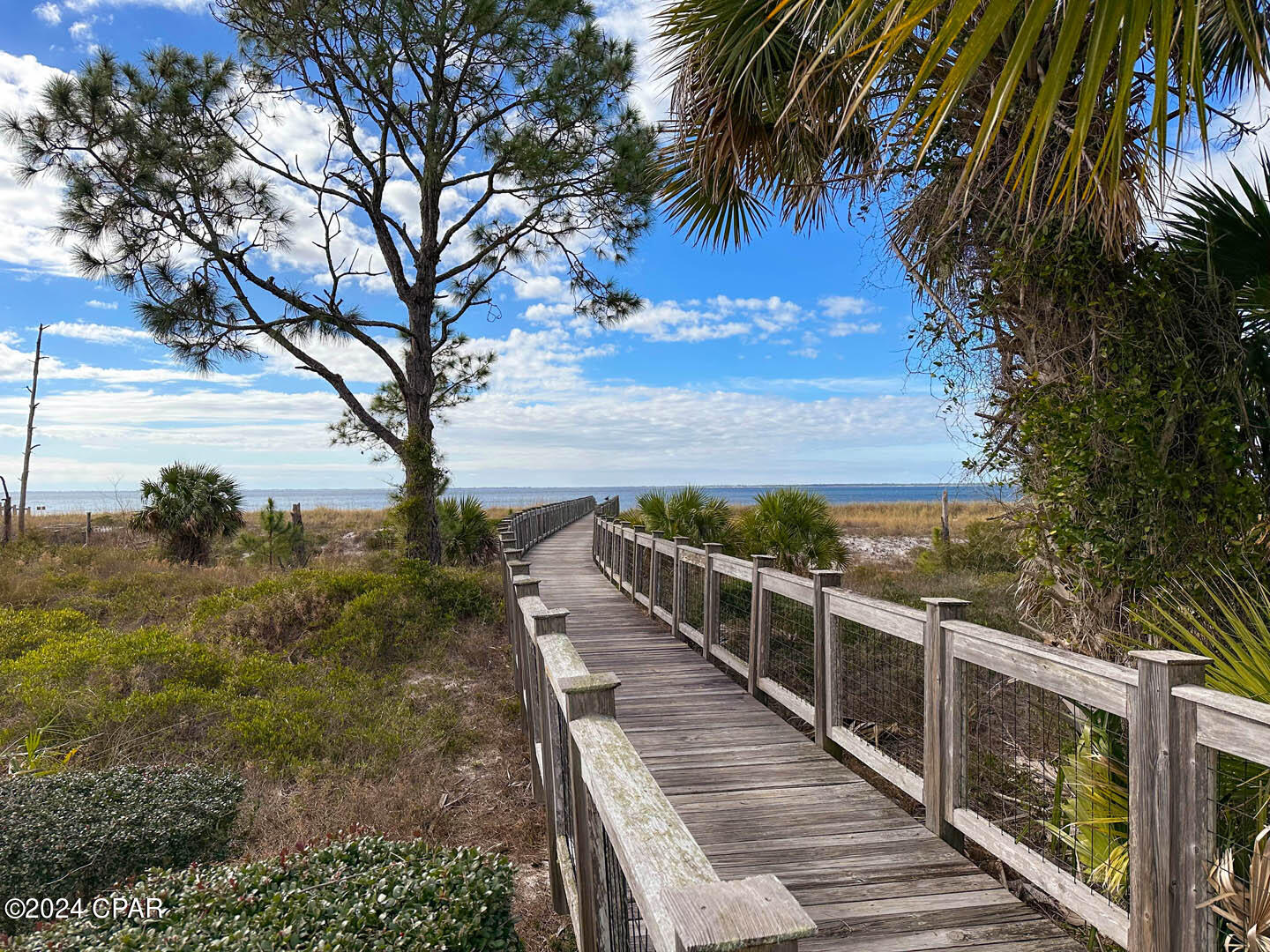 128 Needle Rush Drive, Port St. Joe, Florida image 37