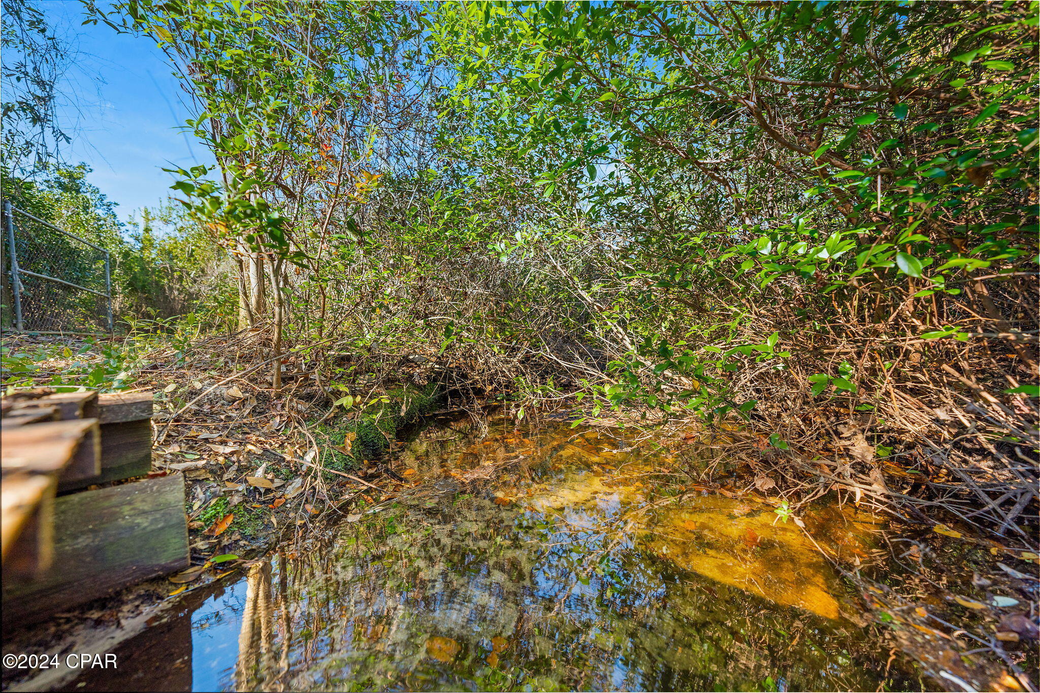 TBD NW Cr-274, Altha, Florida image 13
