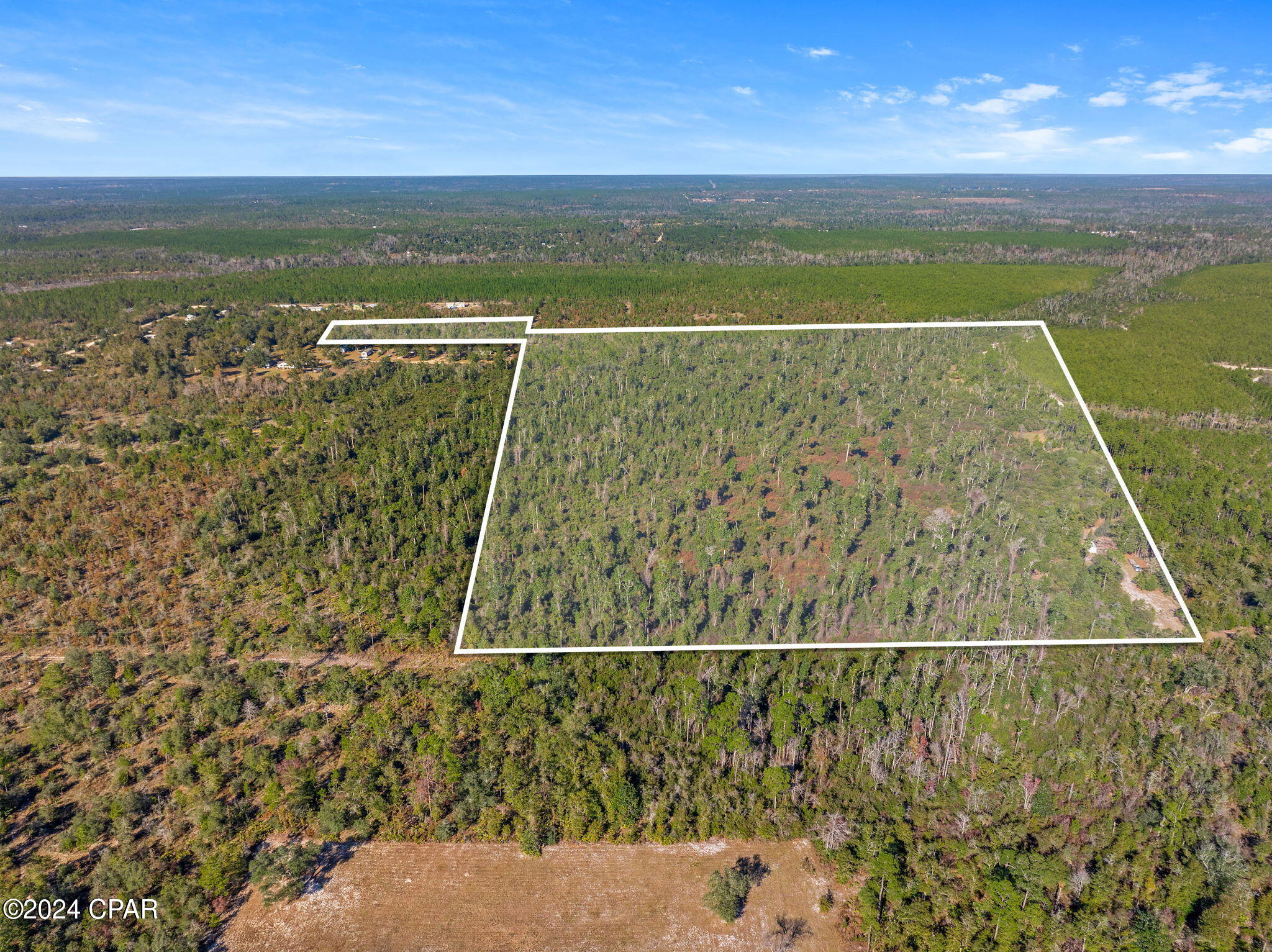 TBD NW Cr-274, Altha, Florida image 2