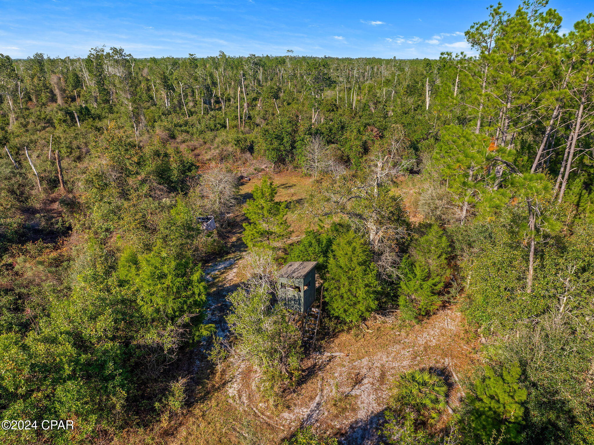 TBD NW Cr-274, Altha, Florida image 7