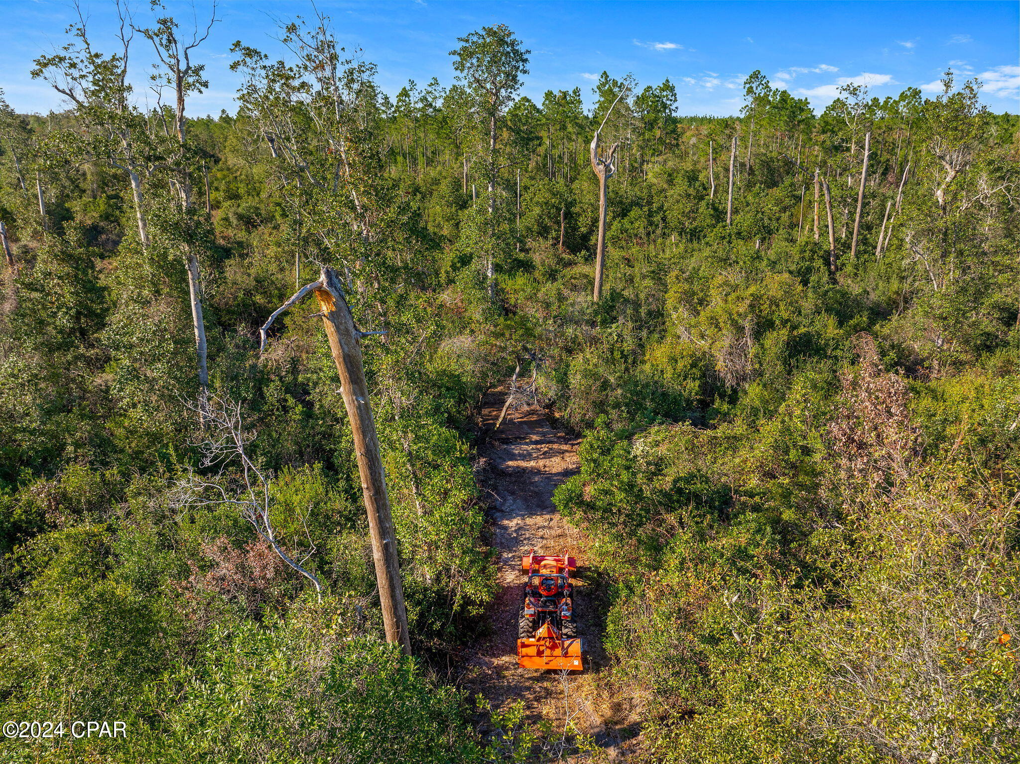 TBD NW Cr-274, Altha, Florida image 8