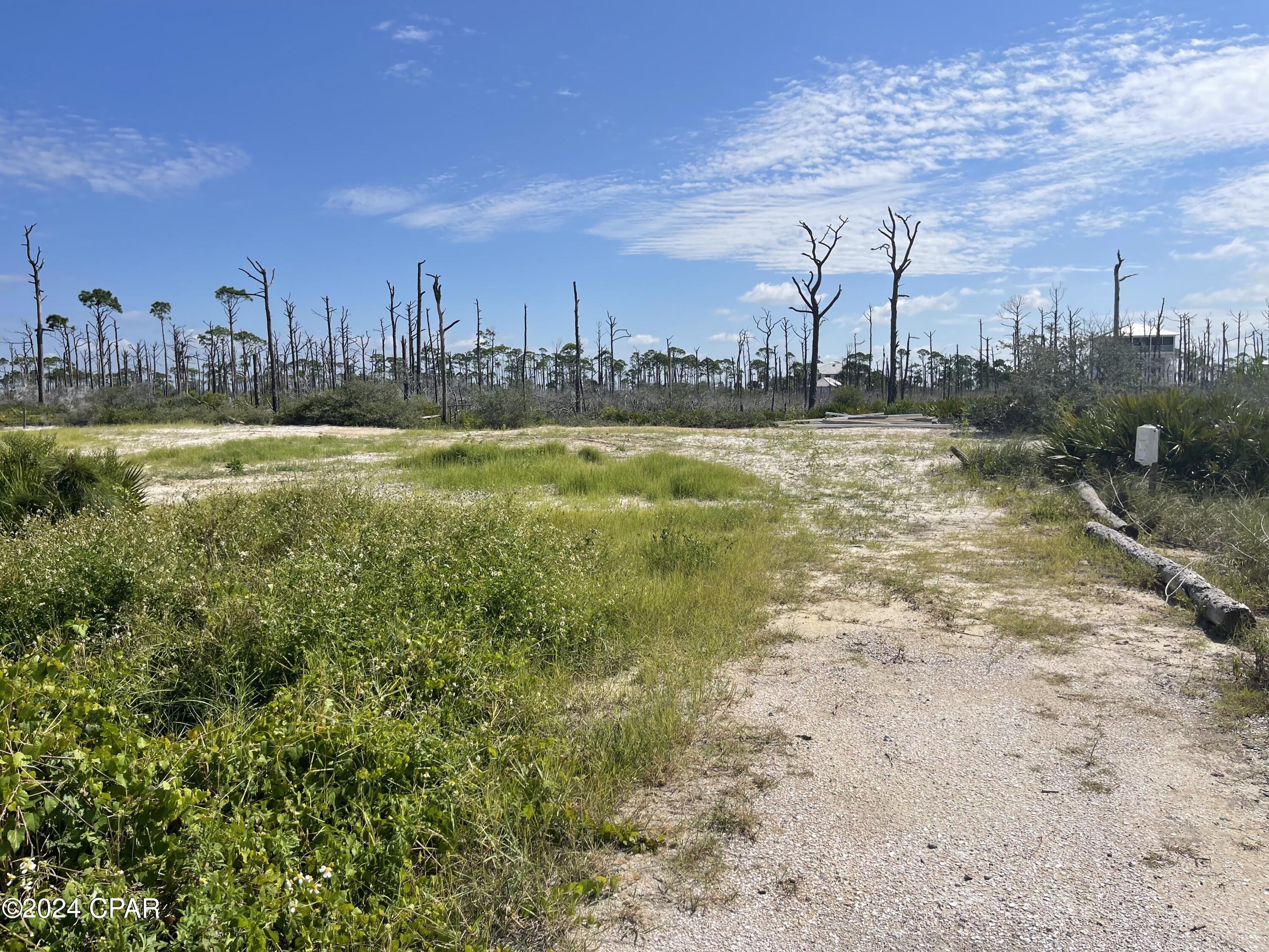 Photo of Lot 14 Bent Tree Cape San Blas FL 32456