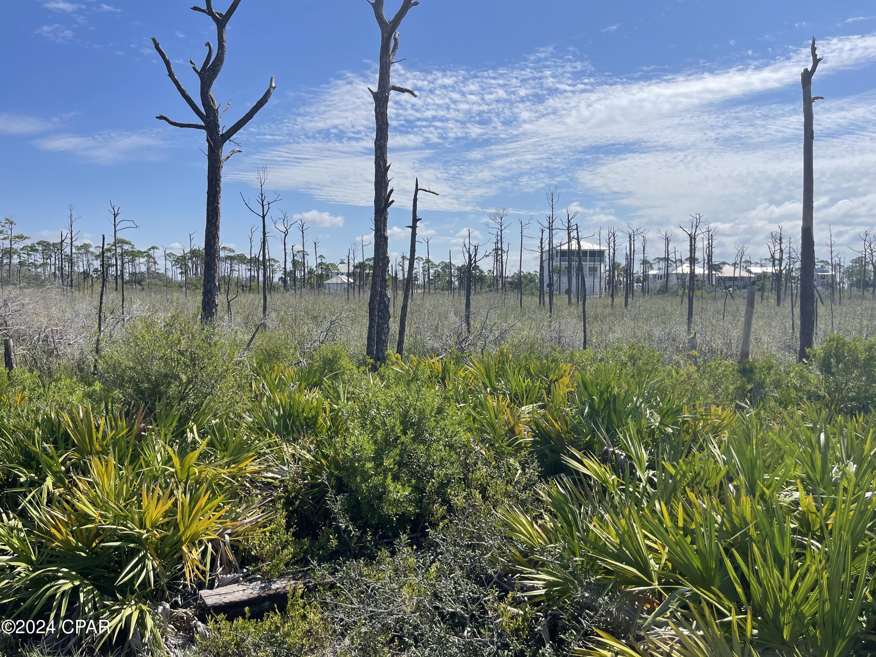 Lot 14 Bent Tree Road, Cape San Blas, Florida image 13