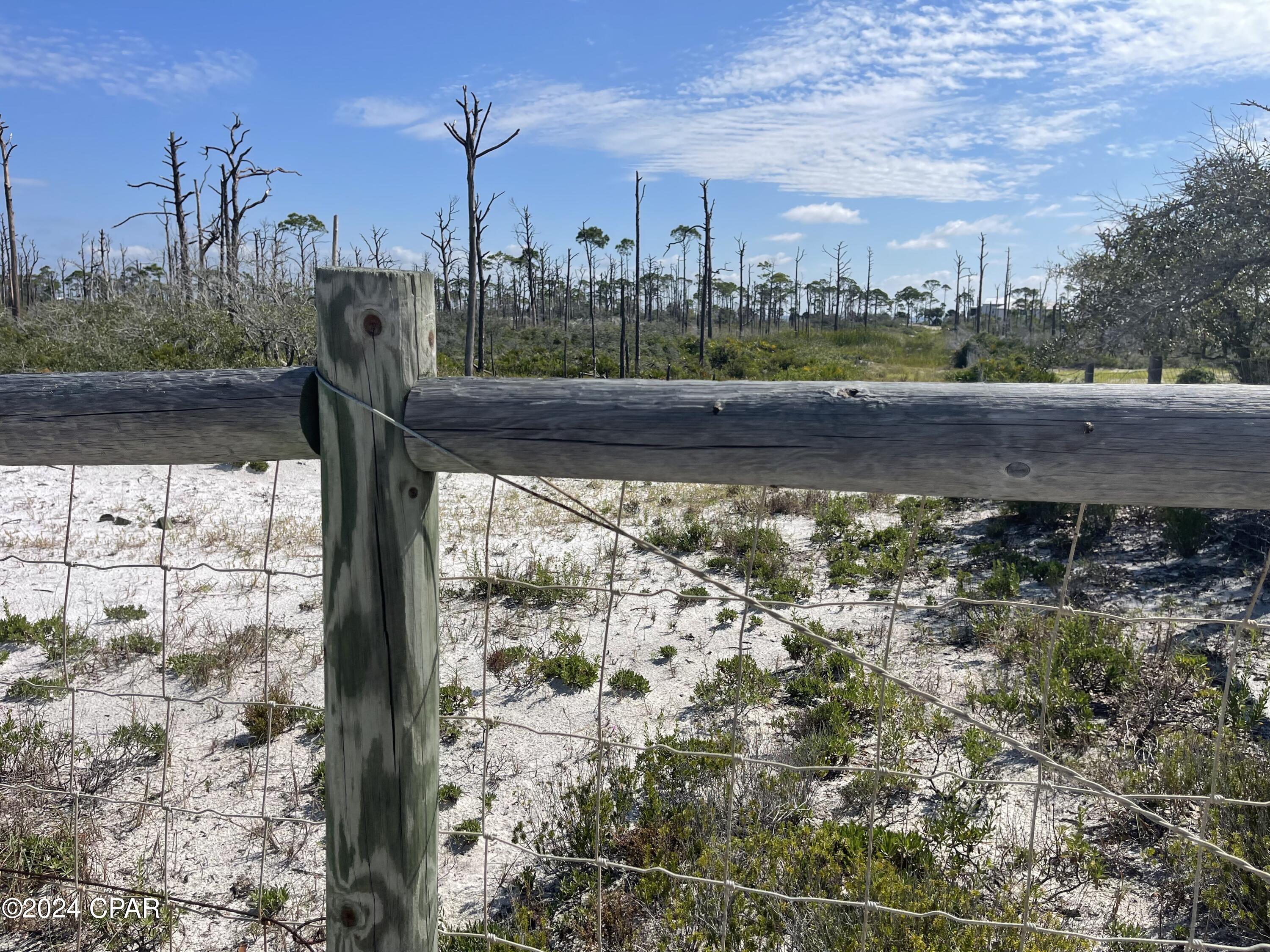 Lot 14 Bent Tree Road, Cape San Blas, Florida image 5