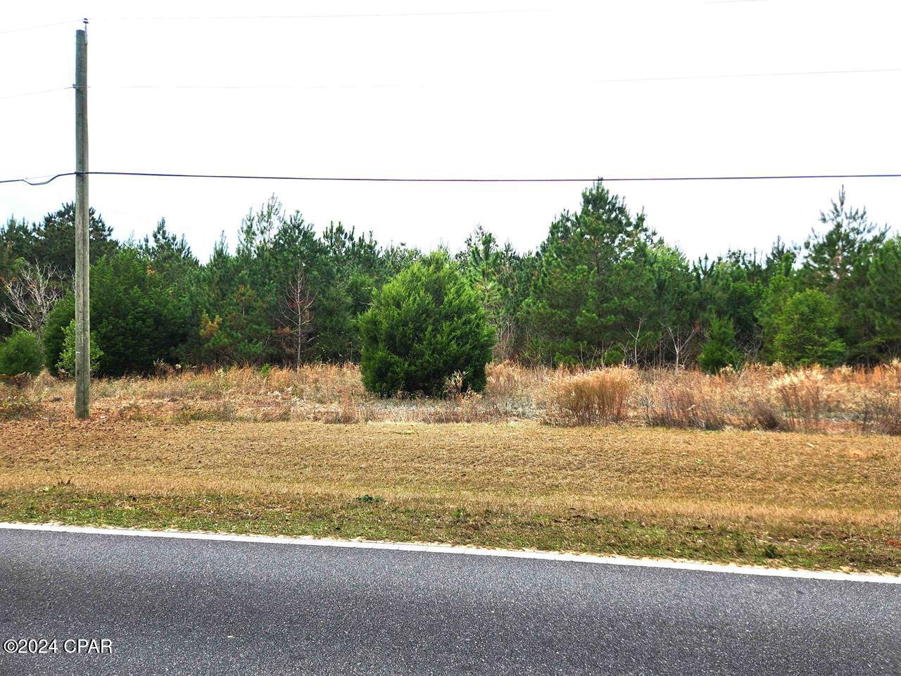Xxx Freeman Road, Bristol, Florida image 1