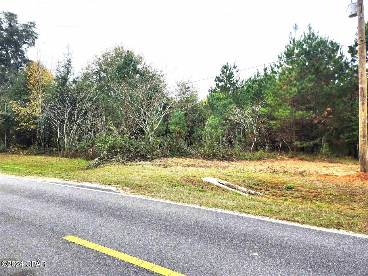 Xxx Freeman Road, Bristol, Florida image 10