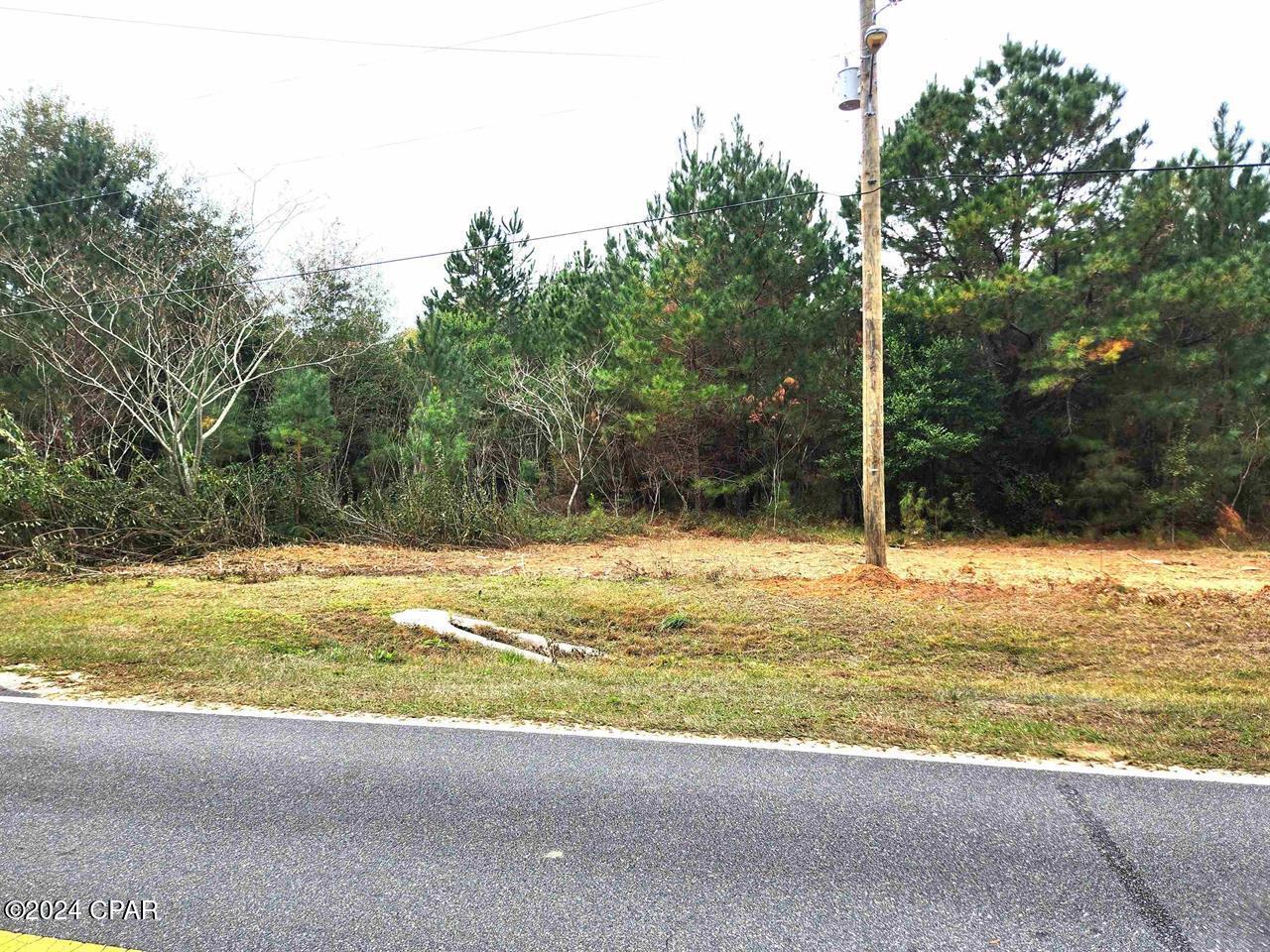 Xxx Freeman Road, Bristol, Florida image 11