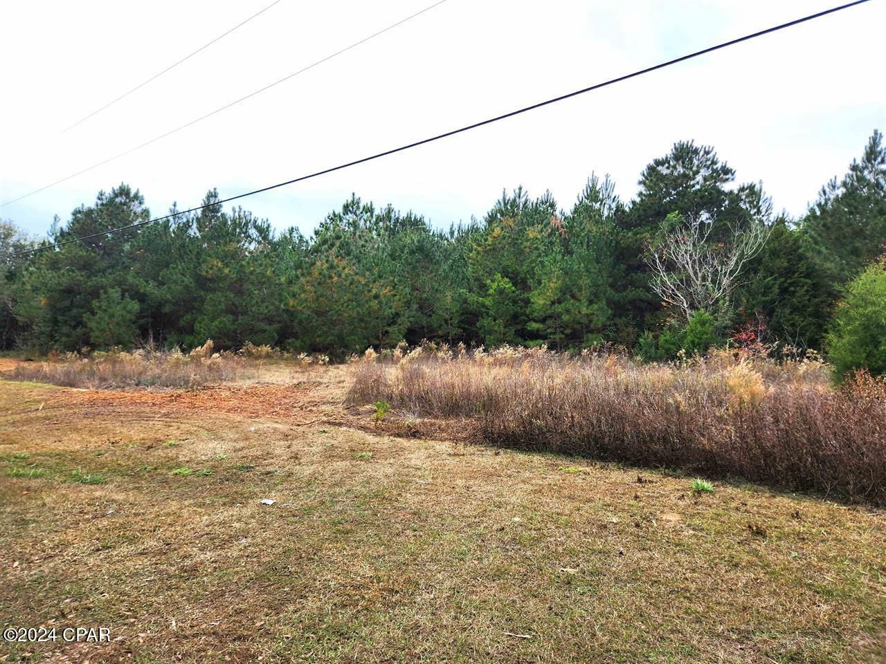 Xxx Freeman Road, Bristol, Florida image 14