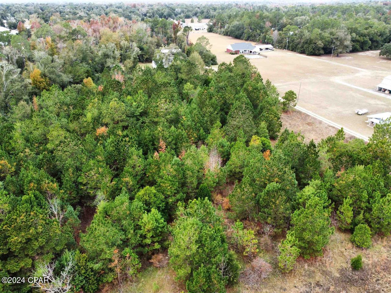 Xxx Freeman Road, Bristol, Florida image 3