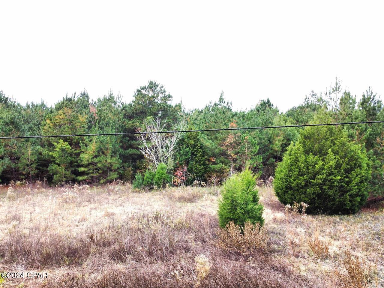 Xxx Freeman Road, Bristol, Florida image 7
