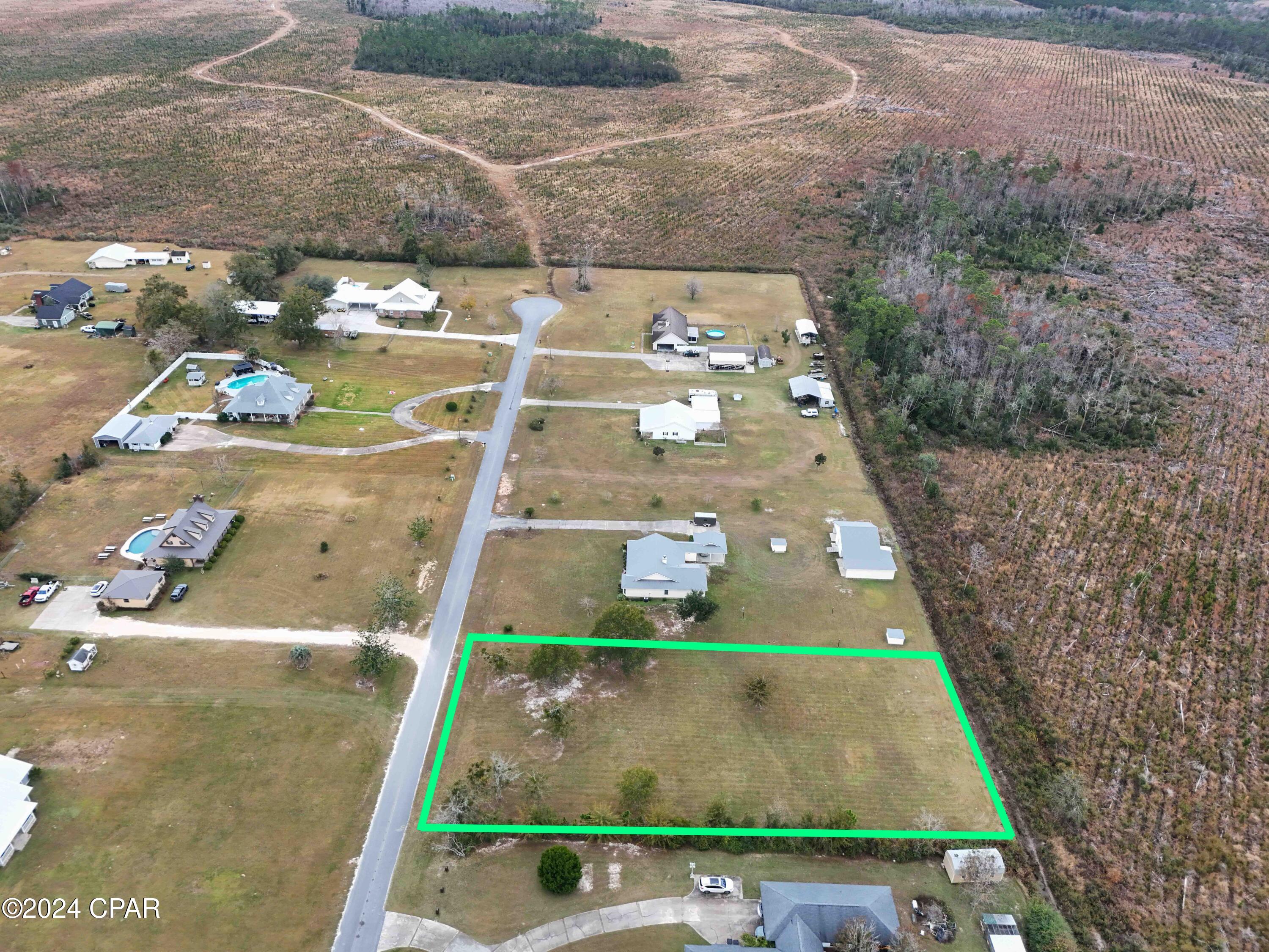 Betty Rae Drive, Wewahitchka, Florida image 3