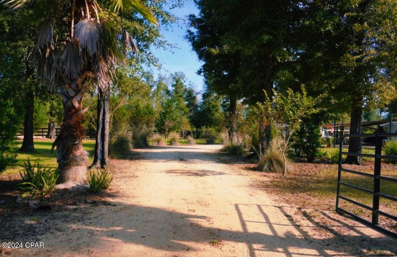 632 Kokomo Avenue, Alford, Florida image 42