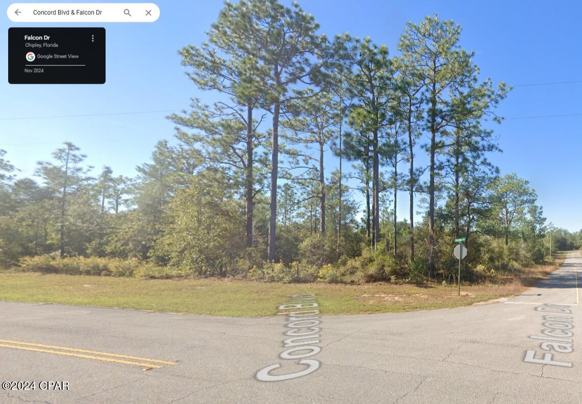 Lot 20 Blk 0038 Concord Boulevard, Chipley, Florida image 1