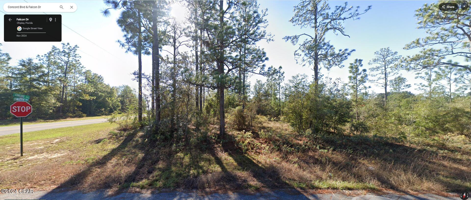 Lot 20 Blk 0038 Concord Boulevard, Chipley, Florida image 3