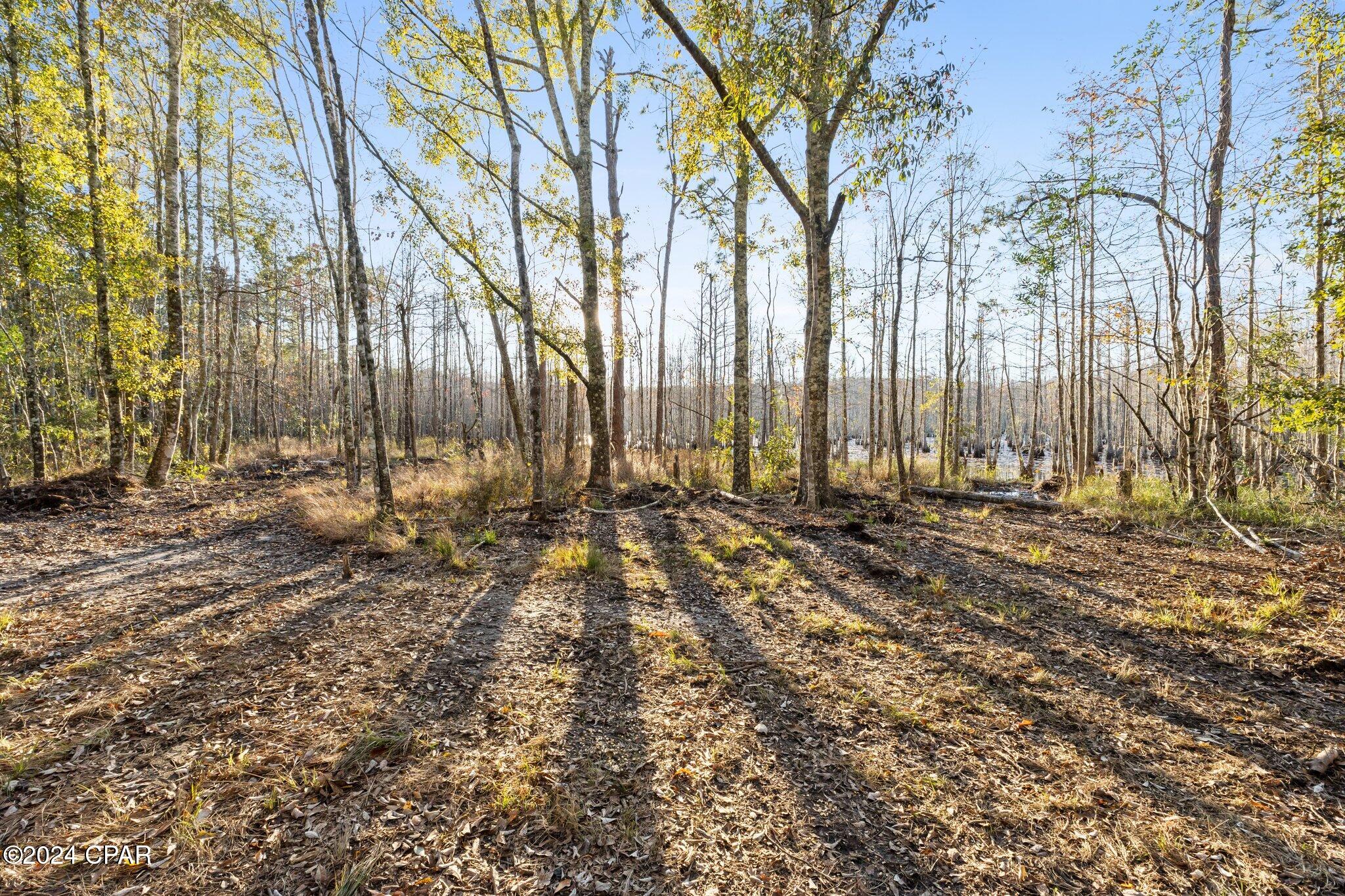 1486 N Highway 79, Bonifay, Florida image 10