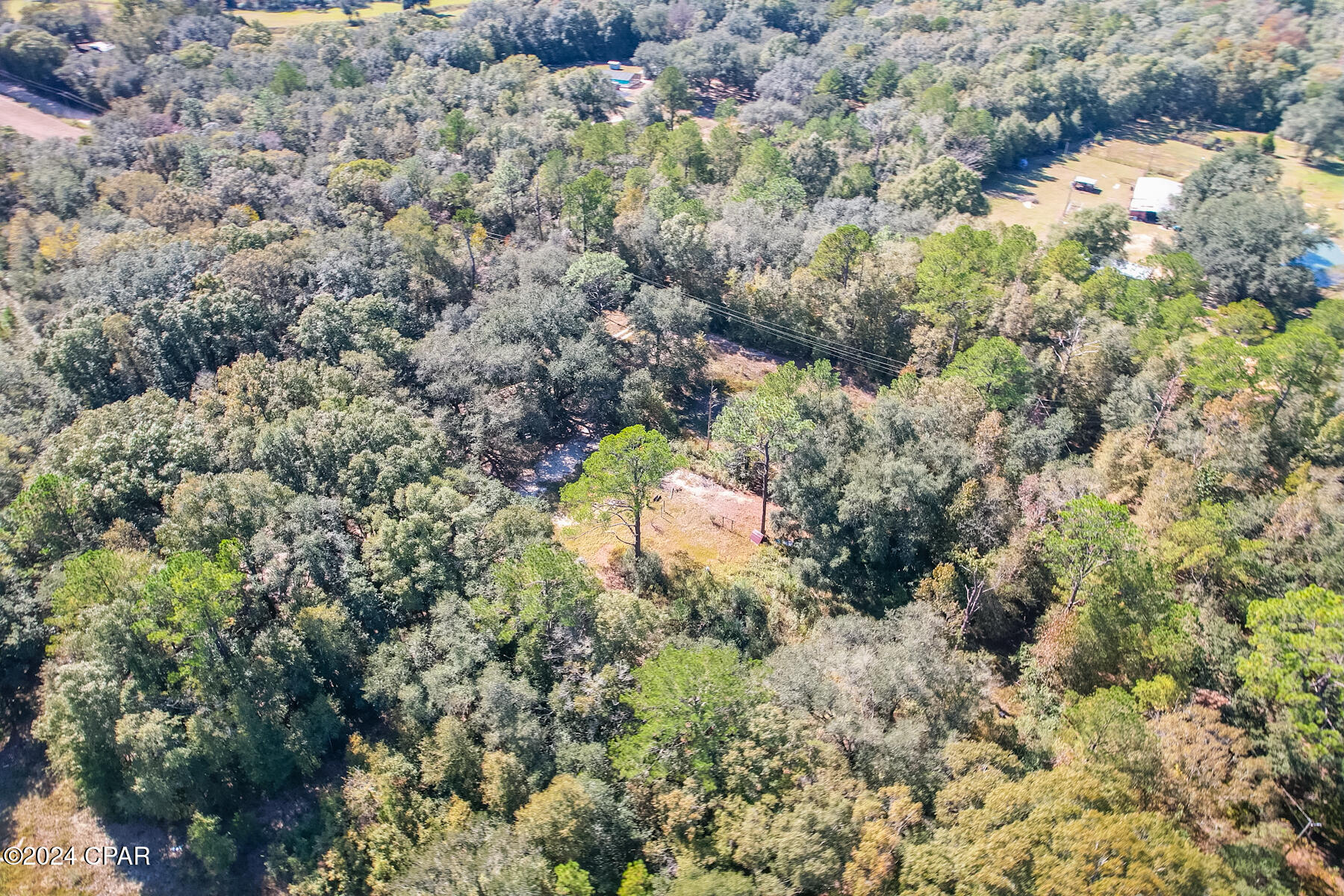 1873 Adolph Whitake Road, Bonifay, Florida image 16