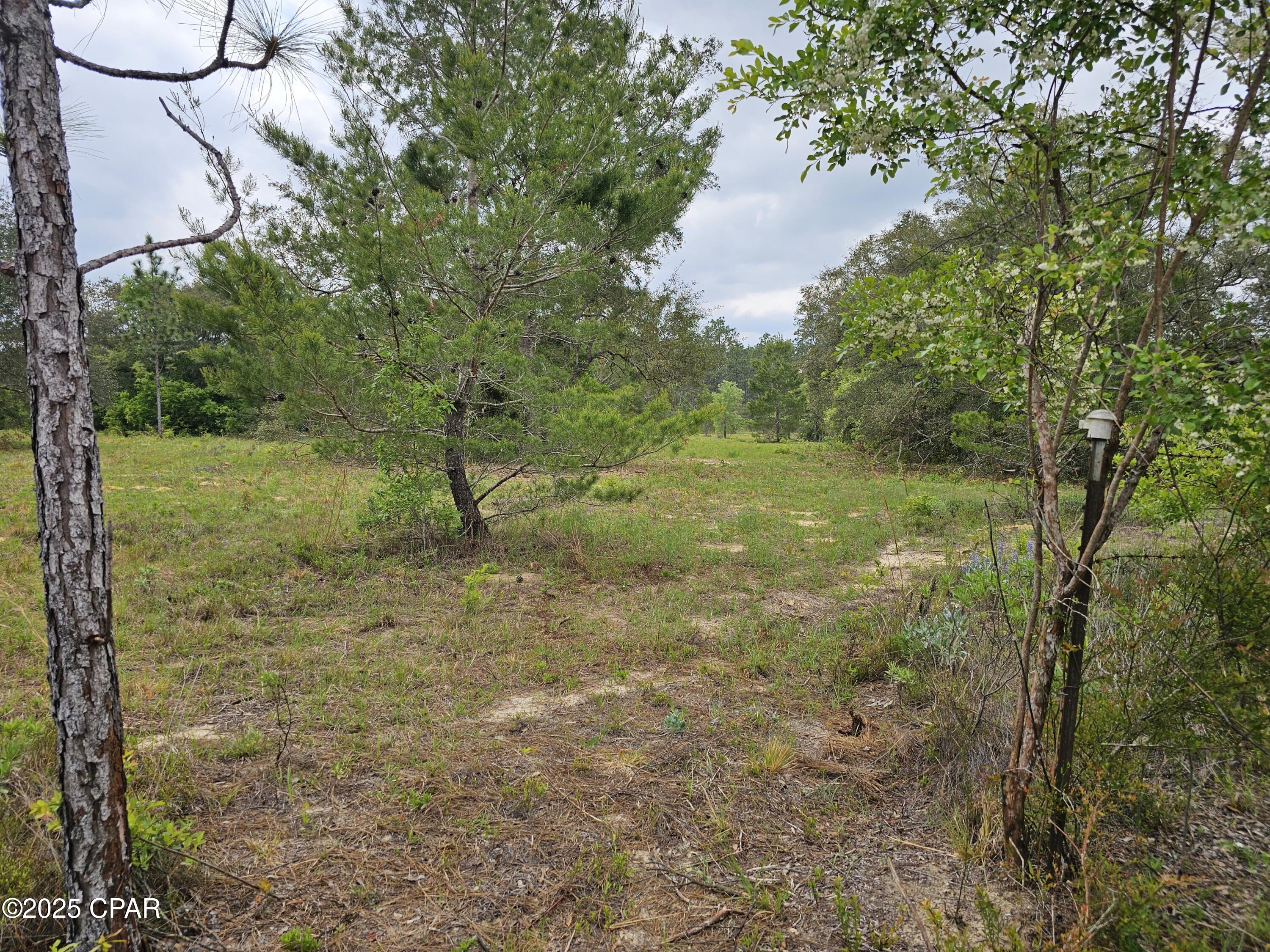 Image 1 For 00 Sand Pond Road