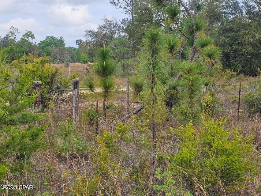 Image 4 For 00 Sand Pond Road