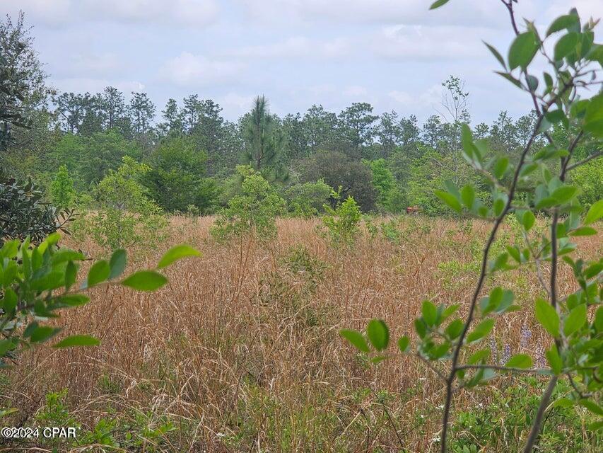 Image 5 For 00 Sand Pond Road